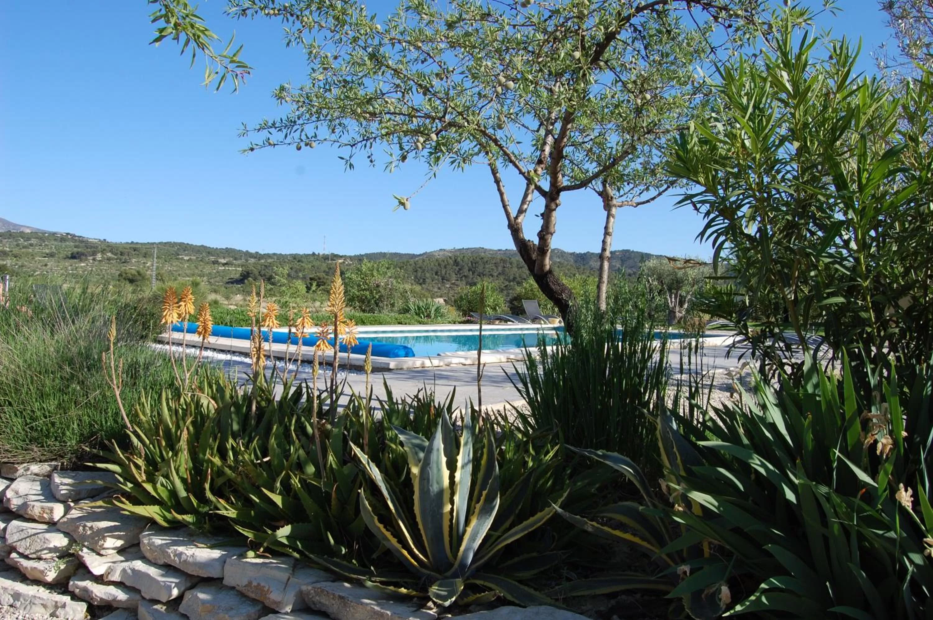 Natural landscape in El Pao Spa