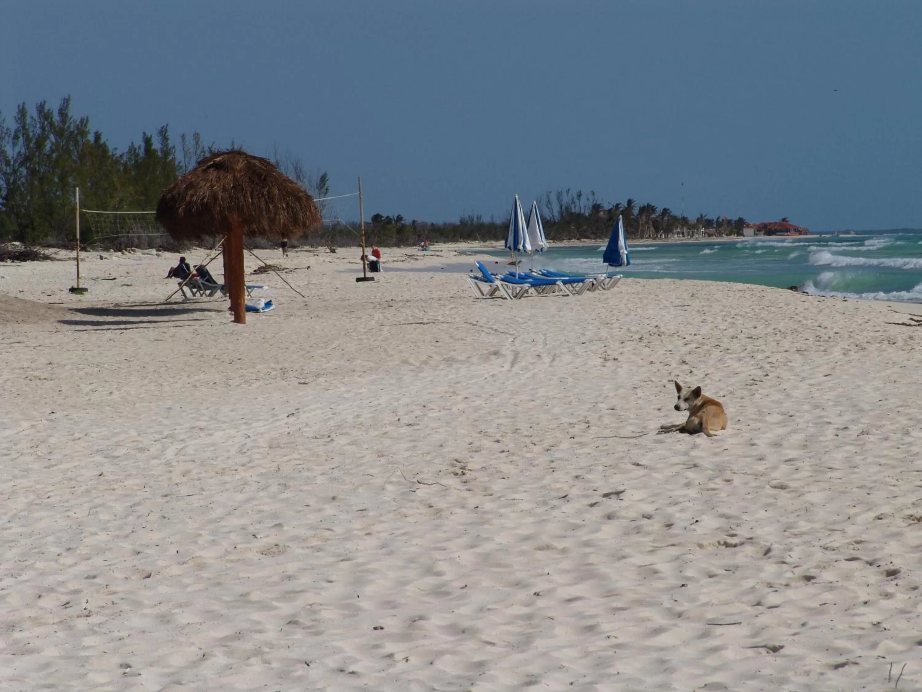 Property building in Cocos Cabañas Playa del Carmen Adults Only