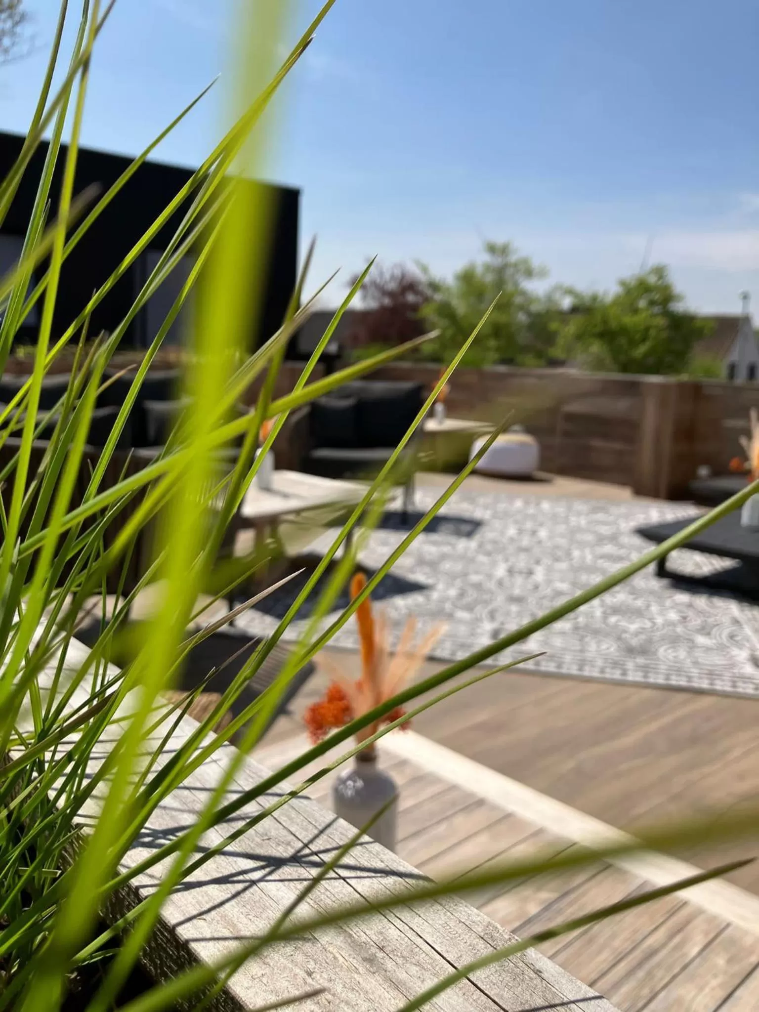 Summer in B&B Herenhuis