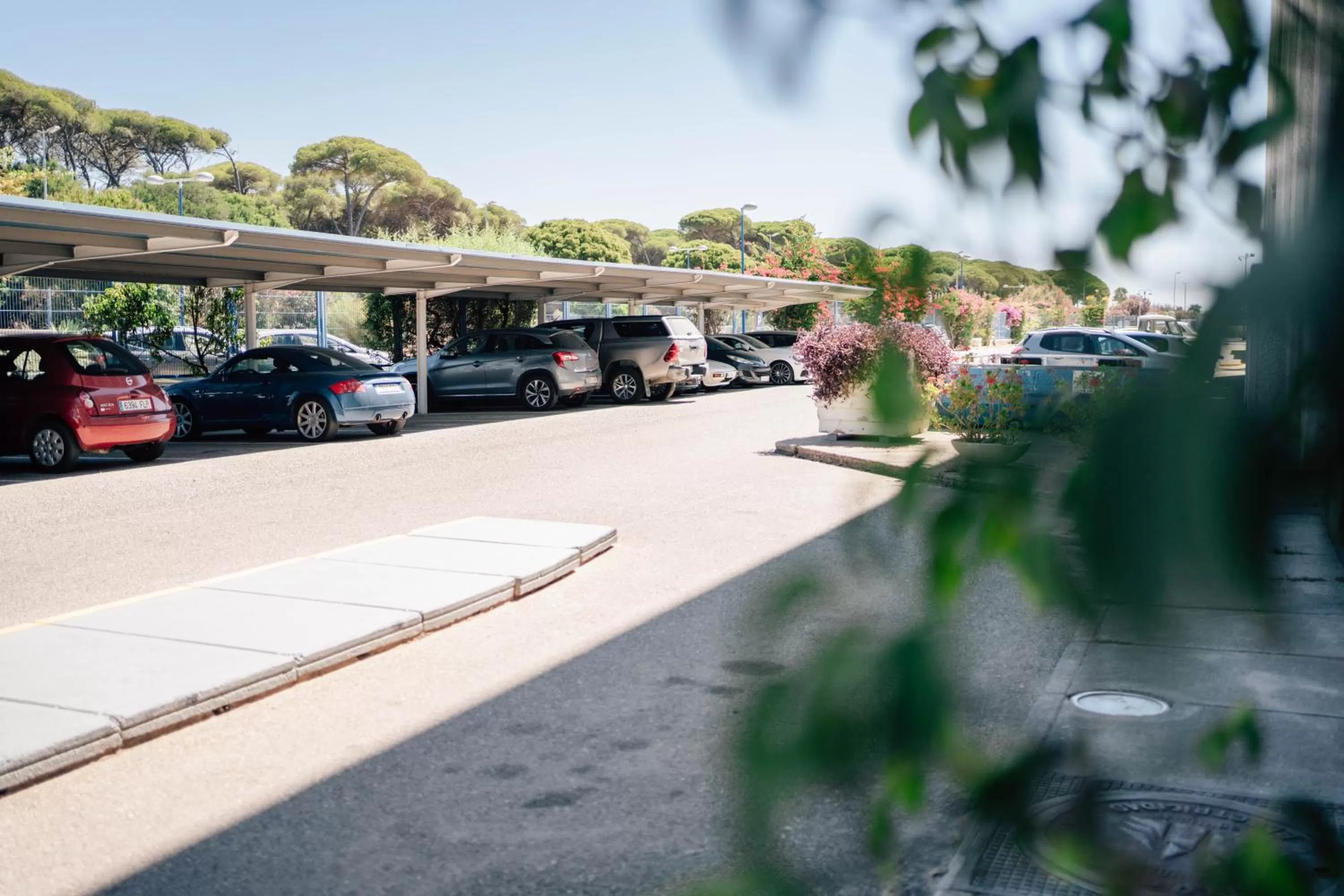 Area and facilities in Hotel Puerto Sherry