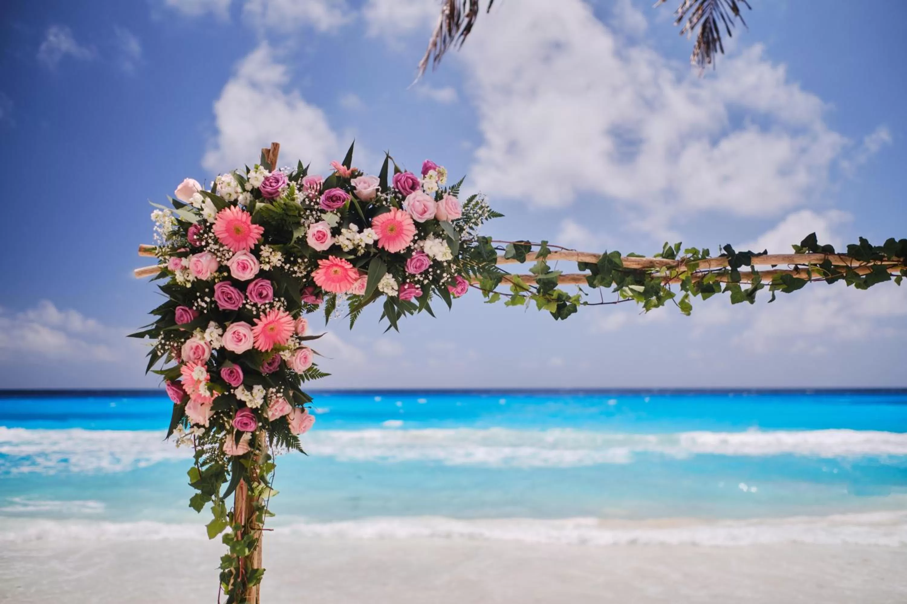 Beach in Hotel NYX Cancun