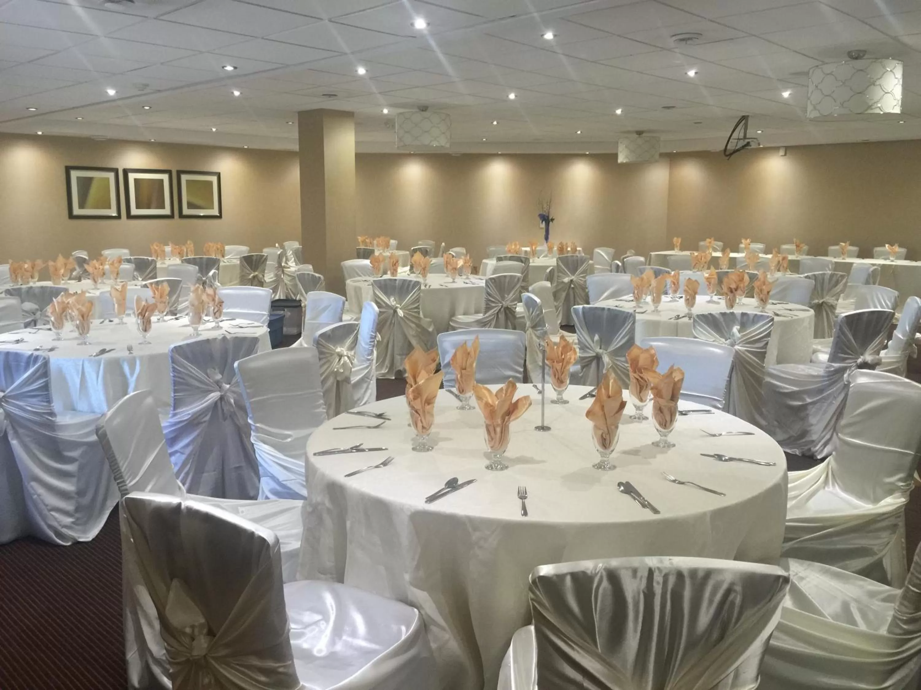 Banquet/Function facilities in Park Inn by Radisson Toronto-Markham