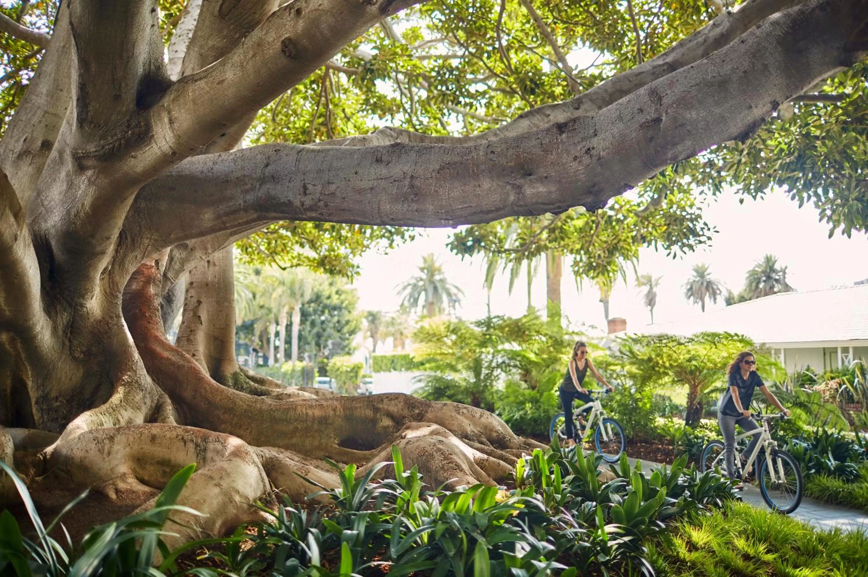 Facade/entrance in Fairmont Miramar Hotel & Bungalows