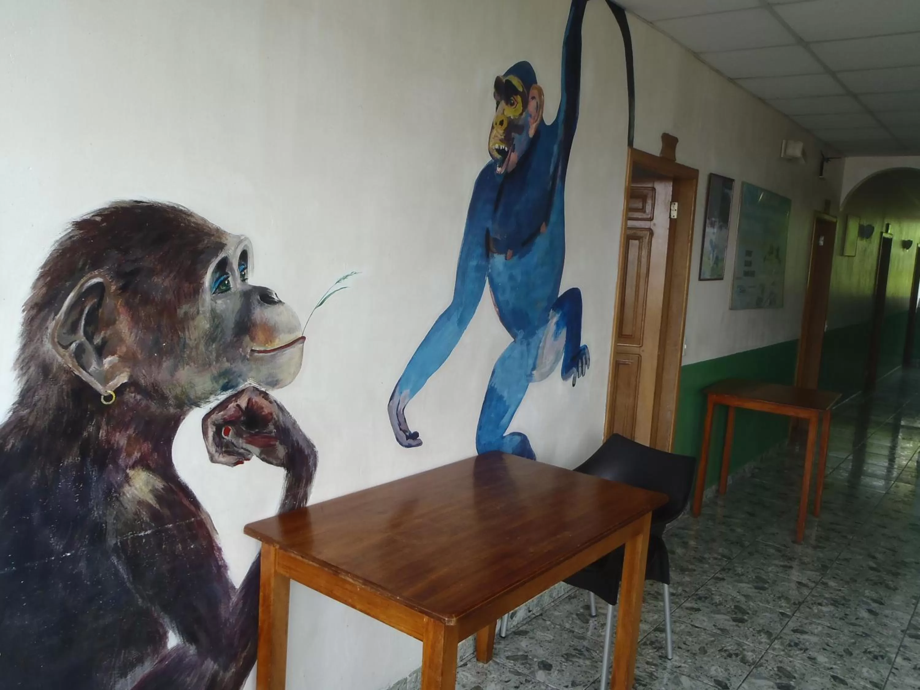 Communal kitchen in Hostal Limoncocha