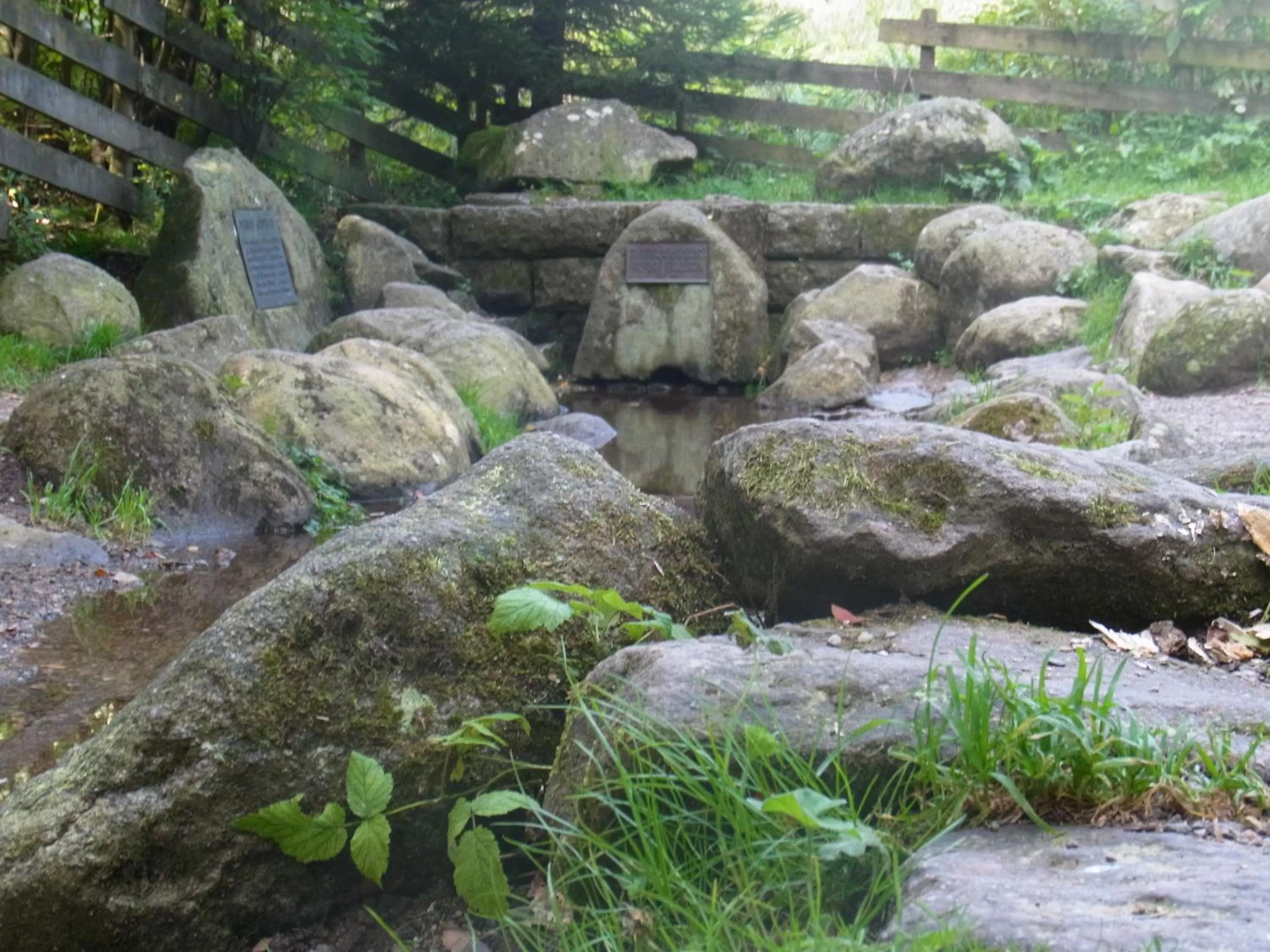 Nearby landmark in ZUR TRAUBE Schwarzwaldhotel & Restaurant am Titisee