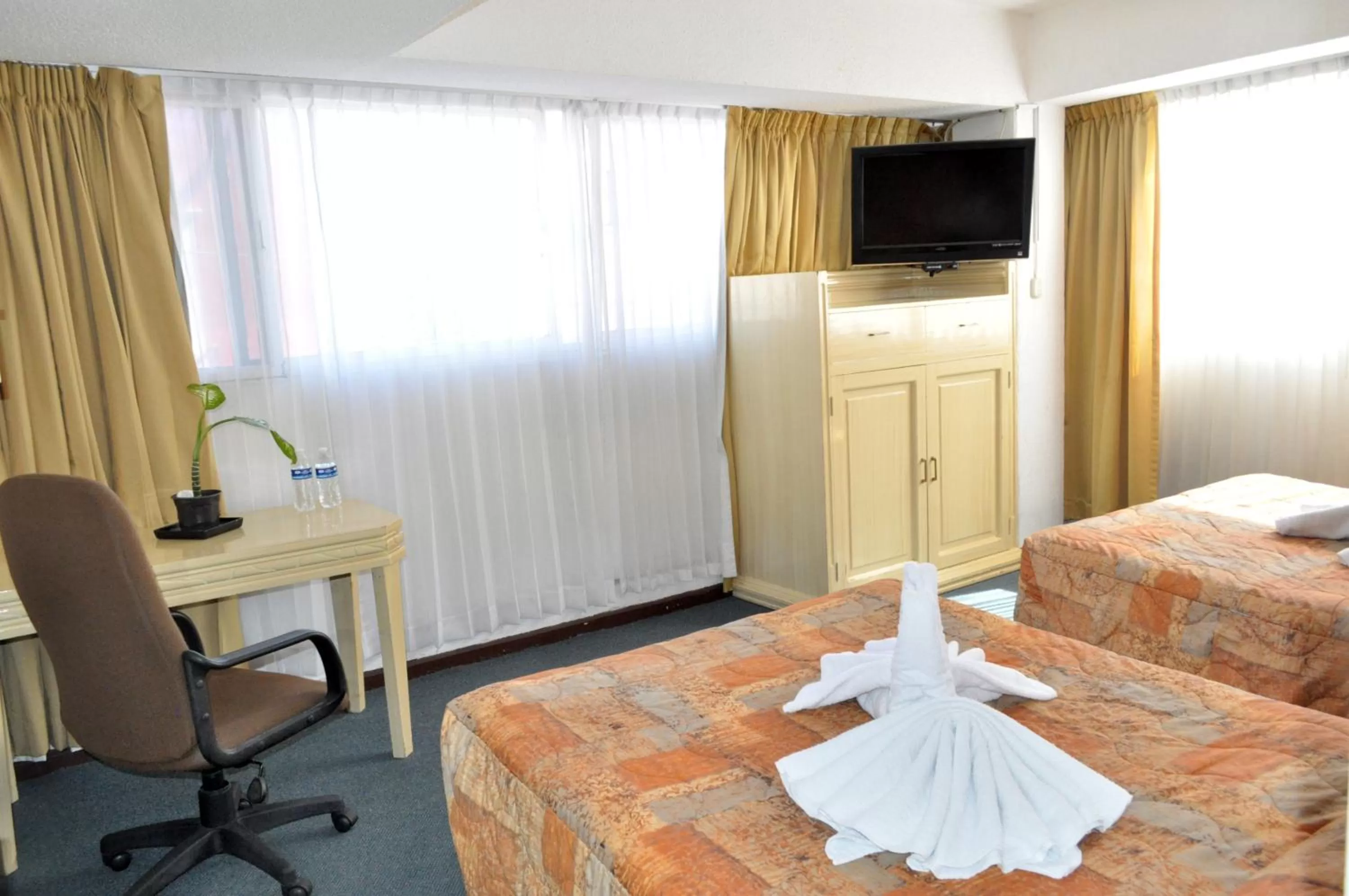 Staff, Bed in Hotel María Teresa