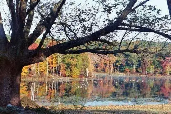 Inn at Fox Hill Farm Inn at Fox Hill Farm