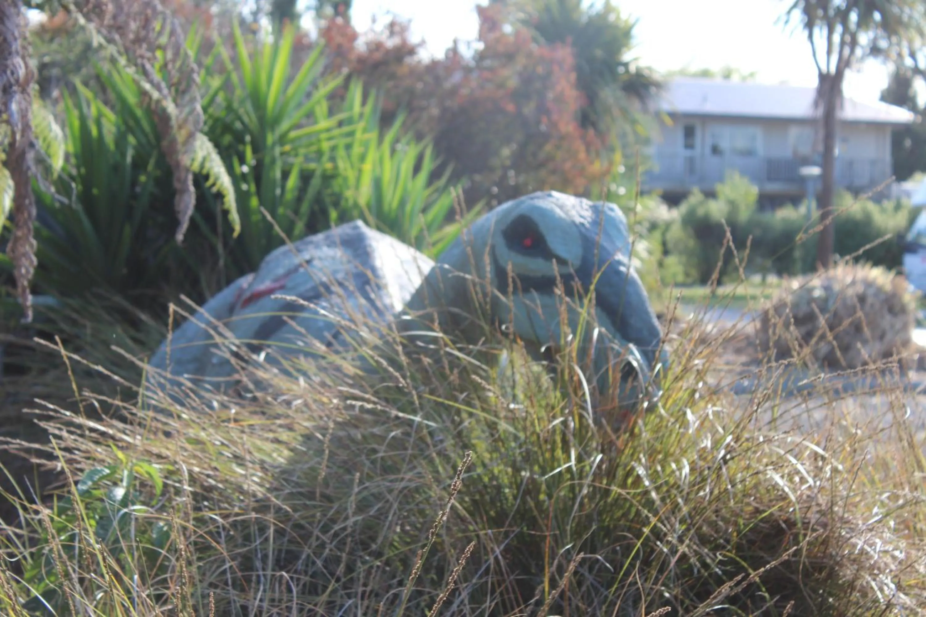 Animals in All Seasons Holiday Park