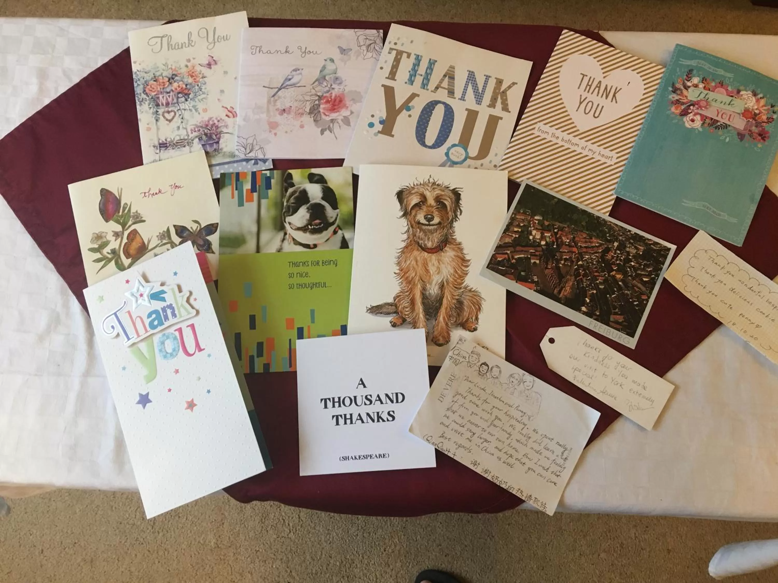 Certificate/Award in Grove House Bed & Breakfast