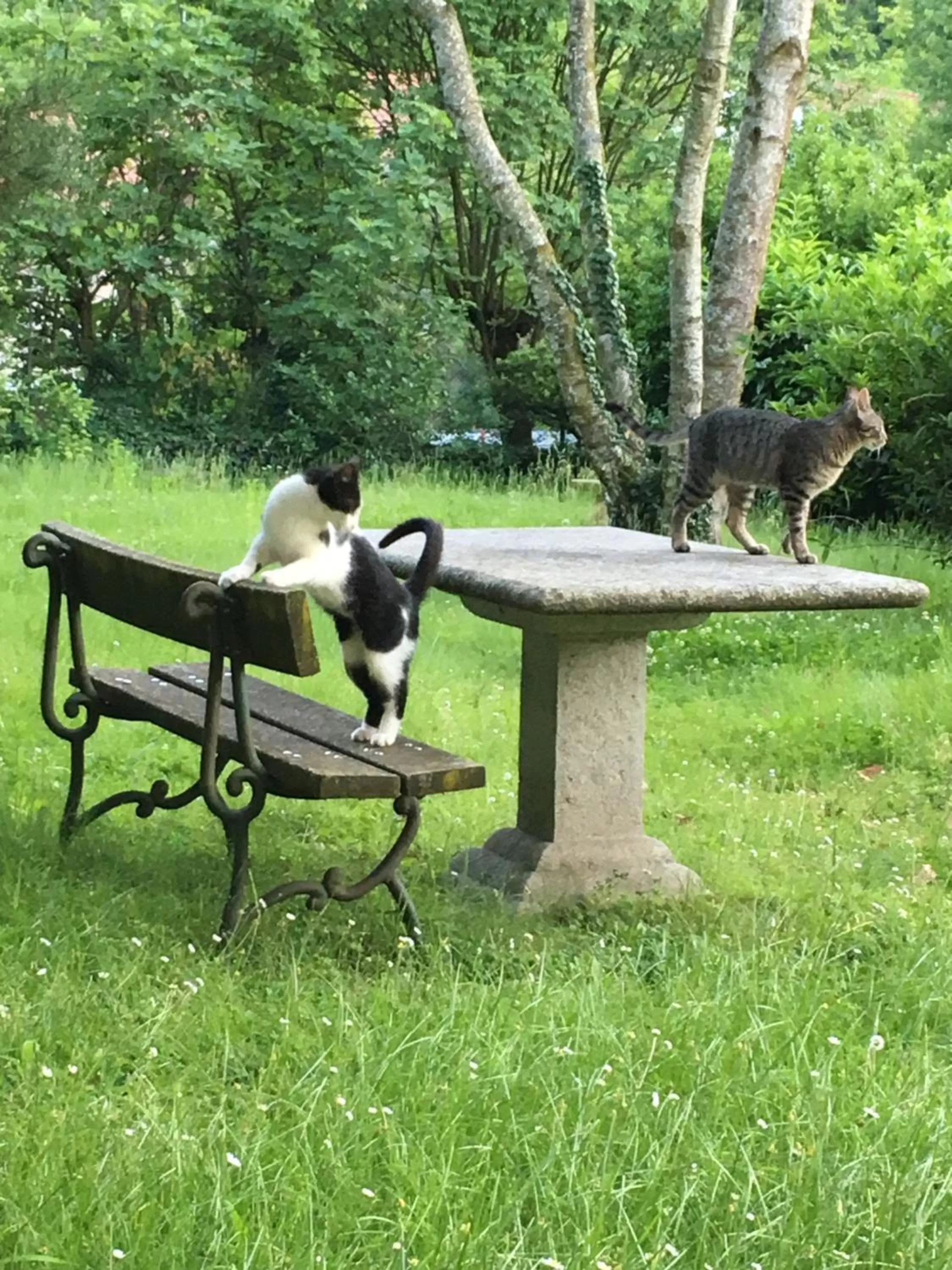 Text overlay in Bed&Box