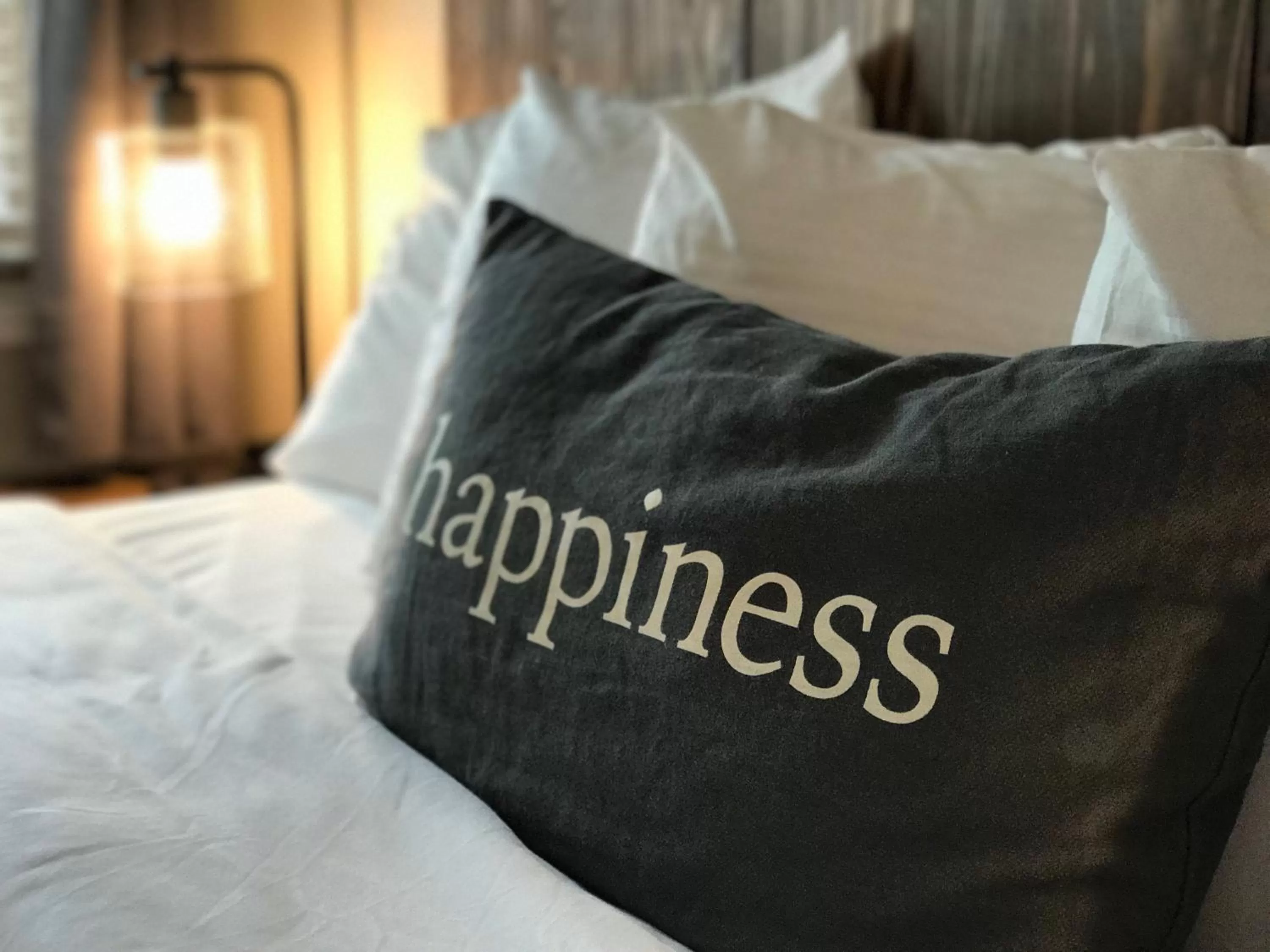 Decorative detail in Resthaven Tahoe