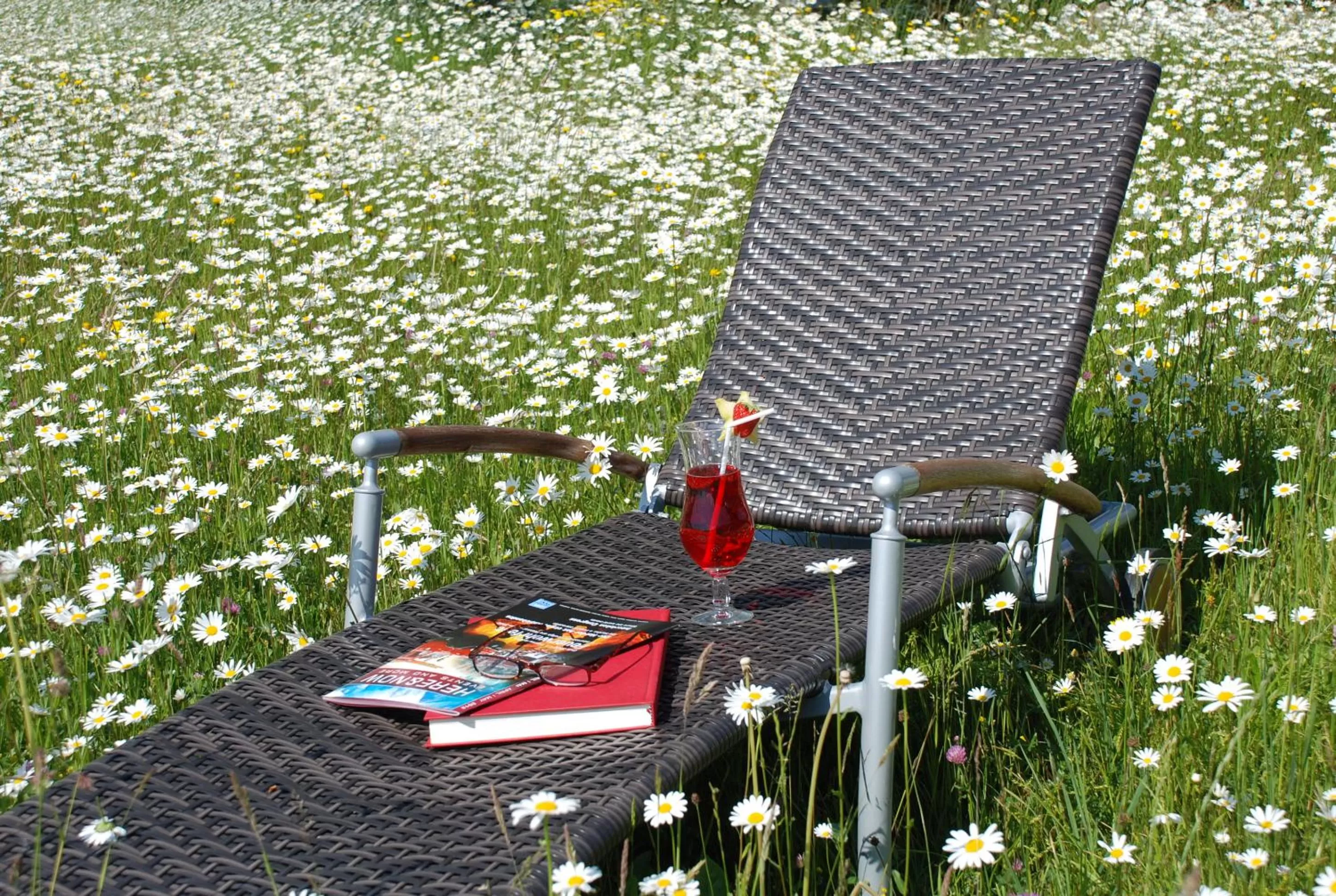 Garden in Salzano Basic Rooms Interlaken