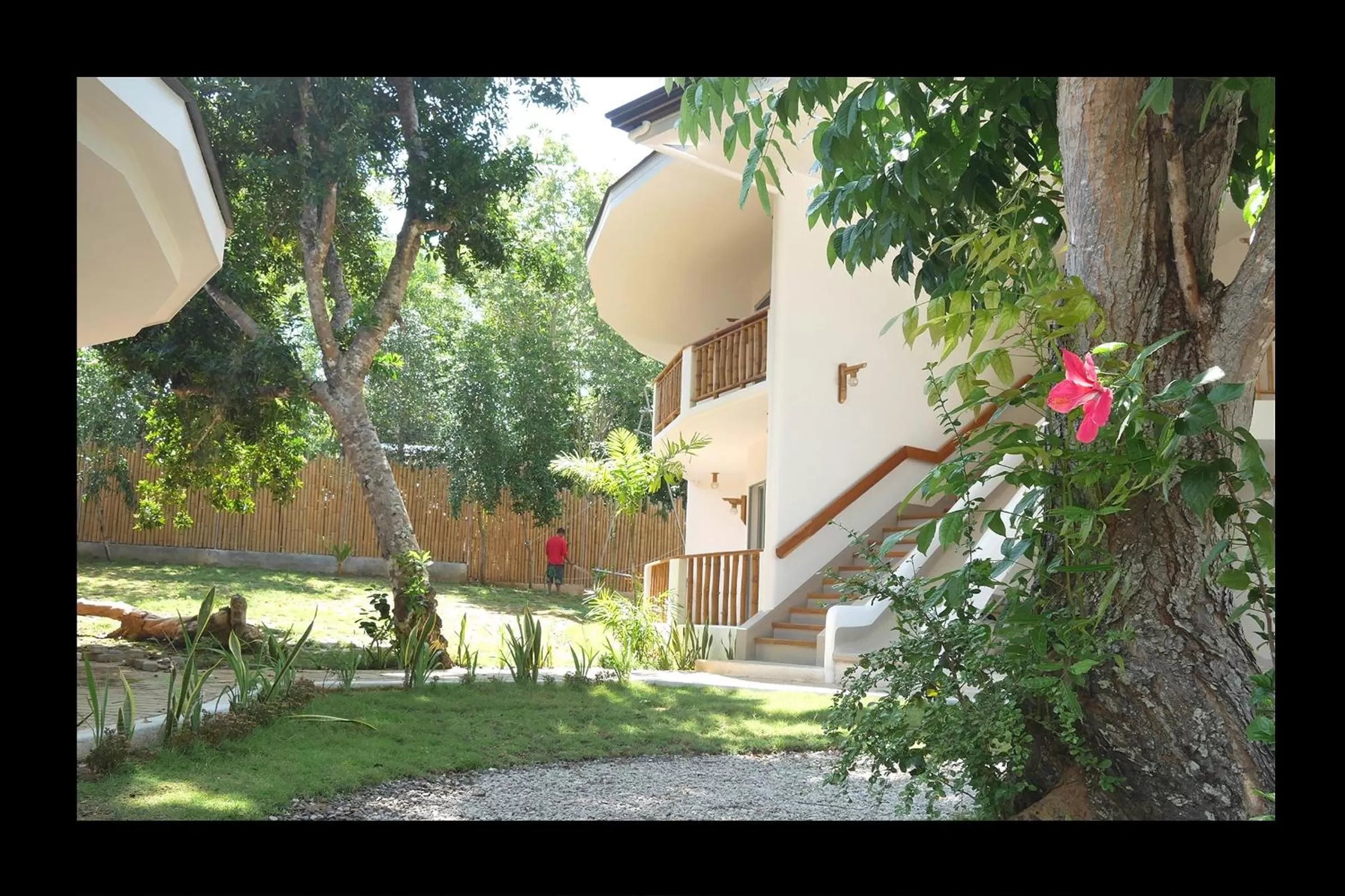 Garden in Bohol Dreamcatcher Resort