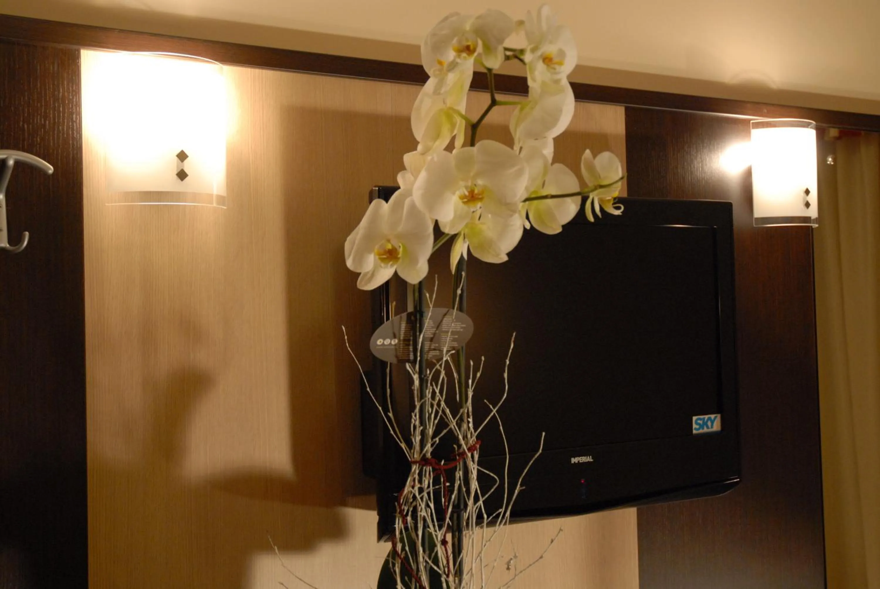 Decorative detail in Hotel Iacone