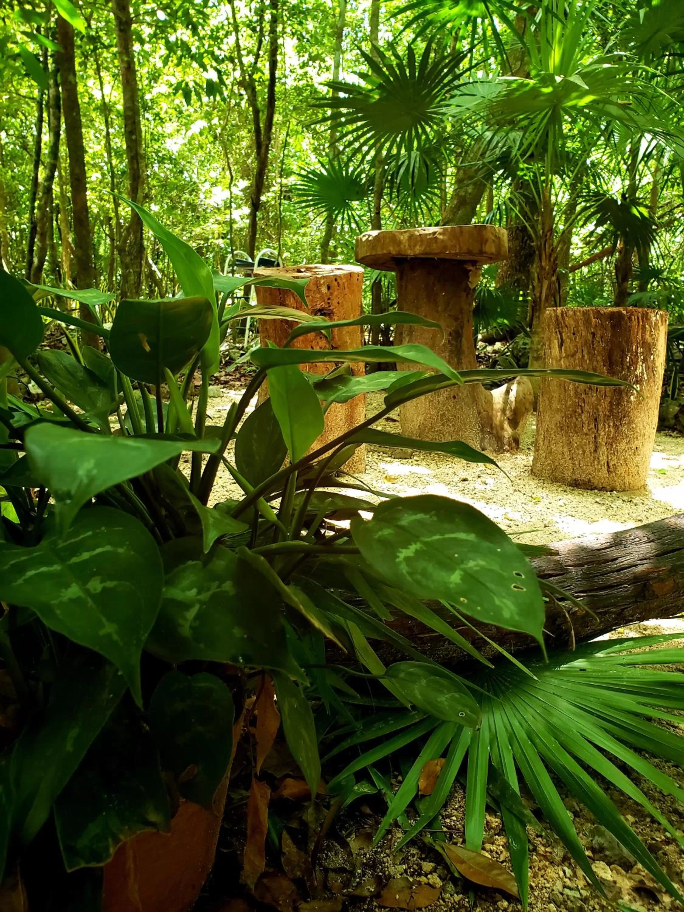 Natural landscape in Hokhmah Heart Hotel