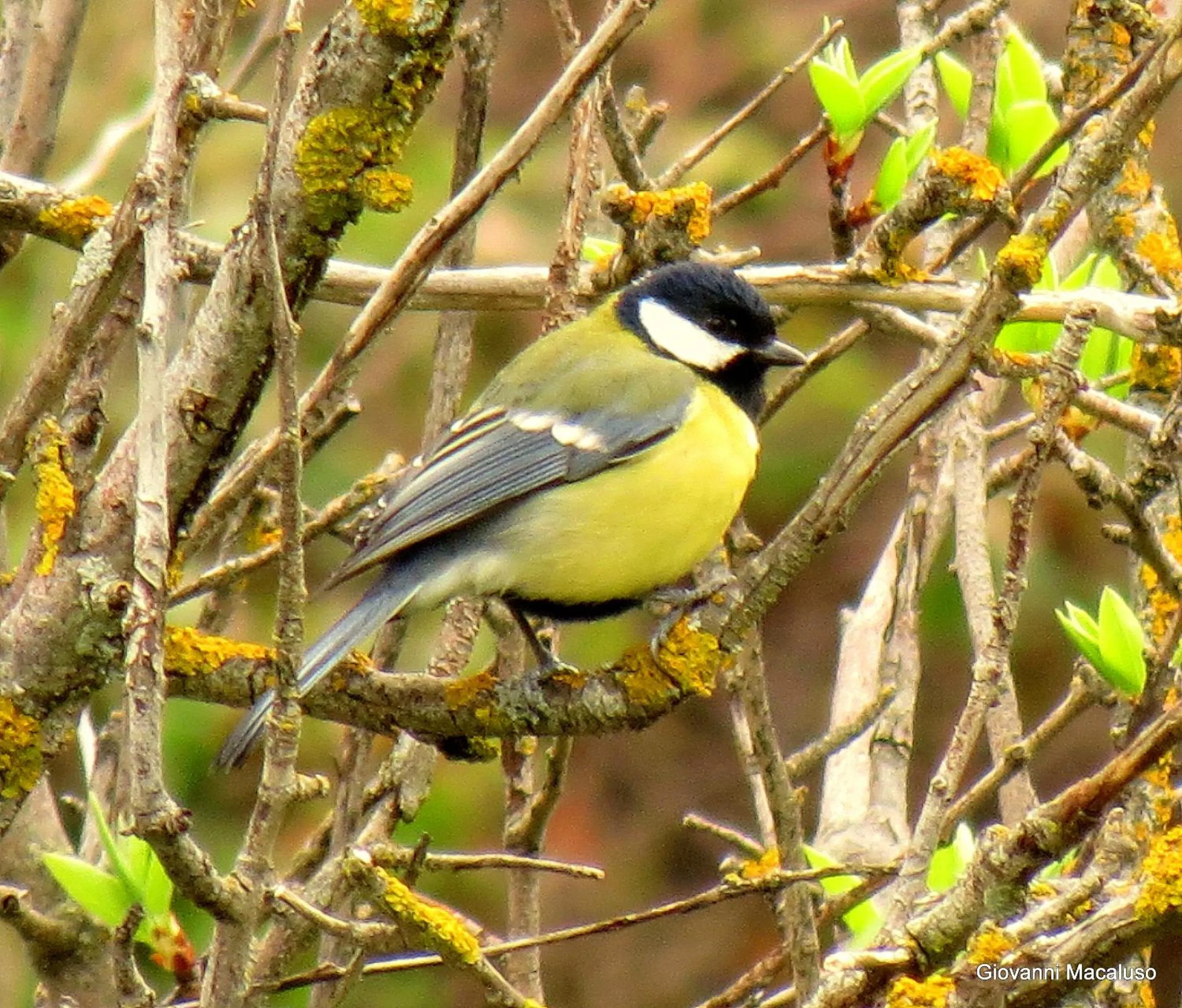 Hiking in Hotel Residenza Petra