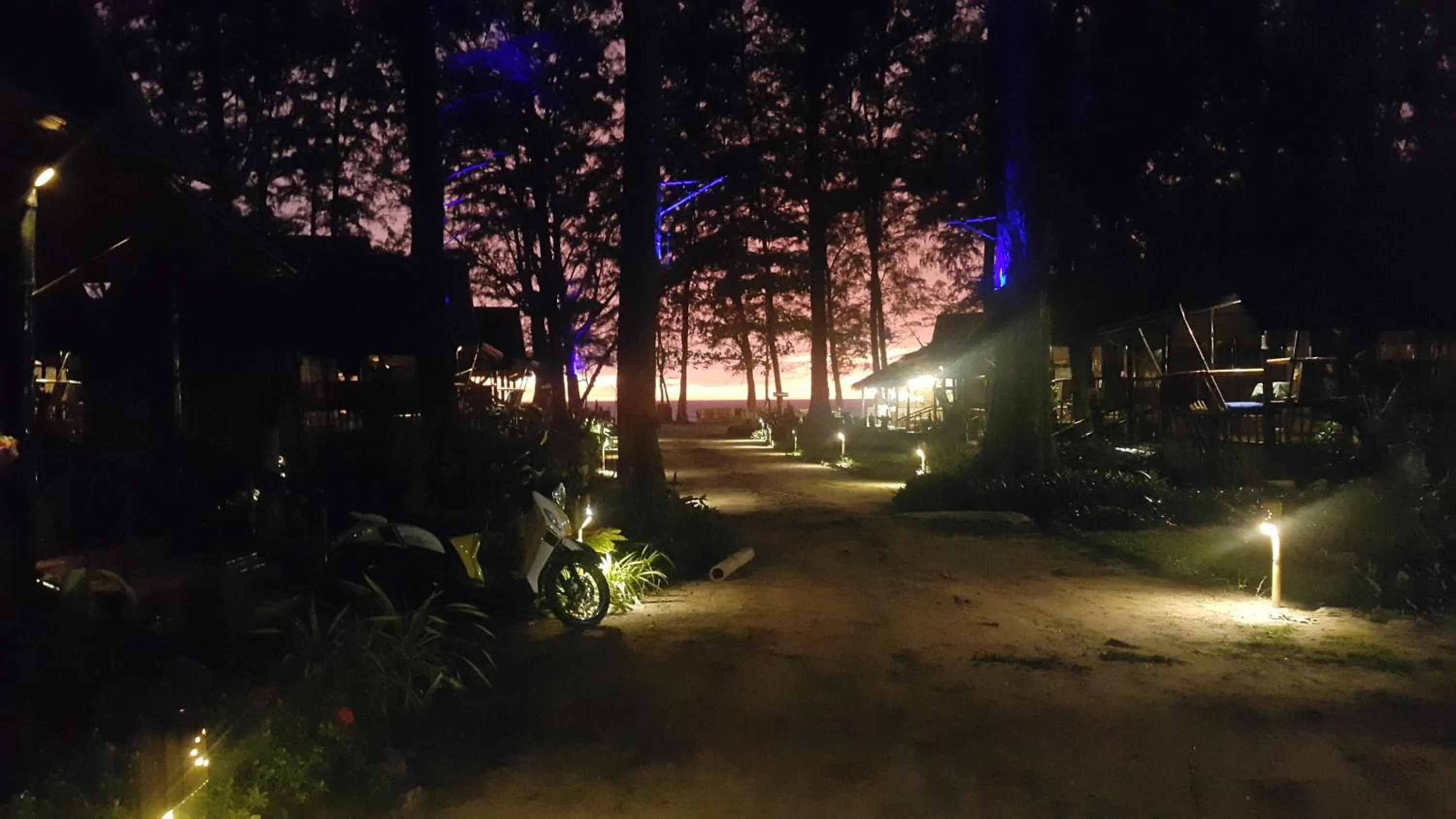 Garden in Eco Lanta Hideaway Beach Resort