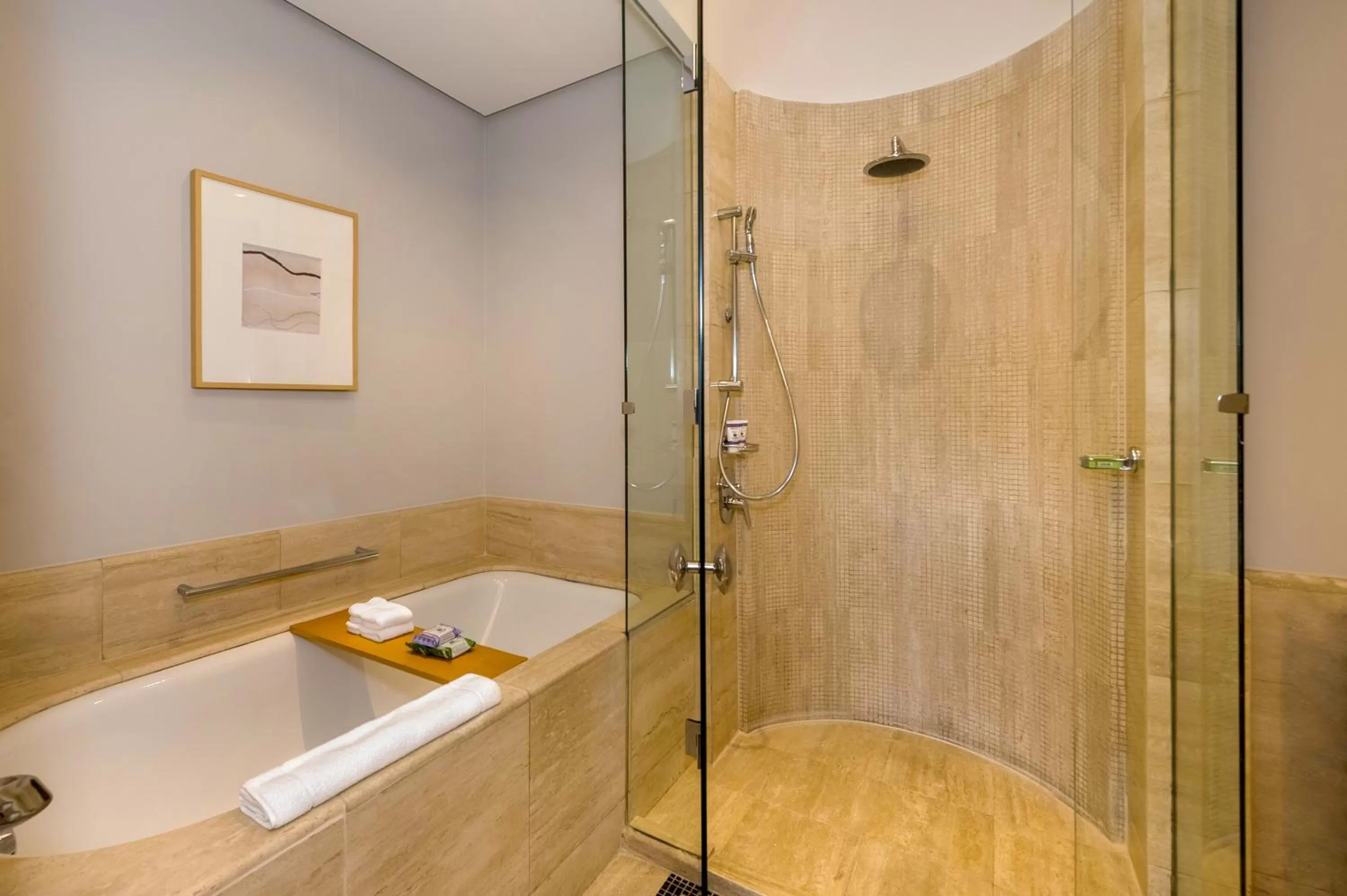 Grand Suite with View - single occupancy in Grand Hyatt São Paulo