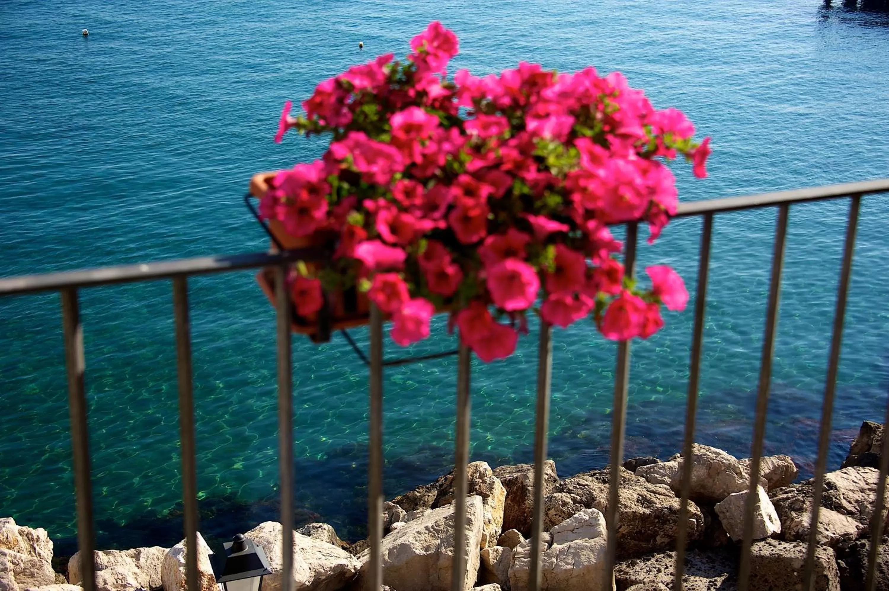 Balcony/Terrace in Villa Lieta