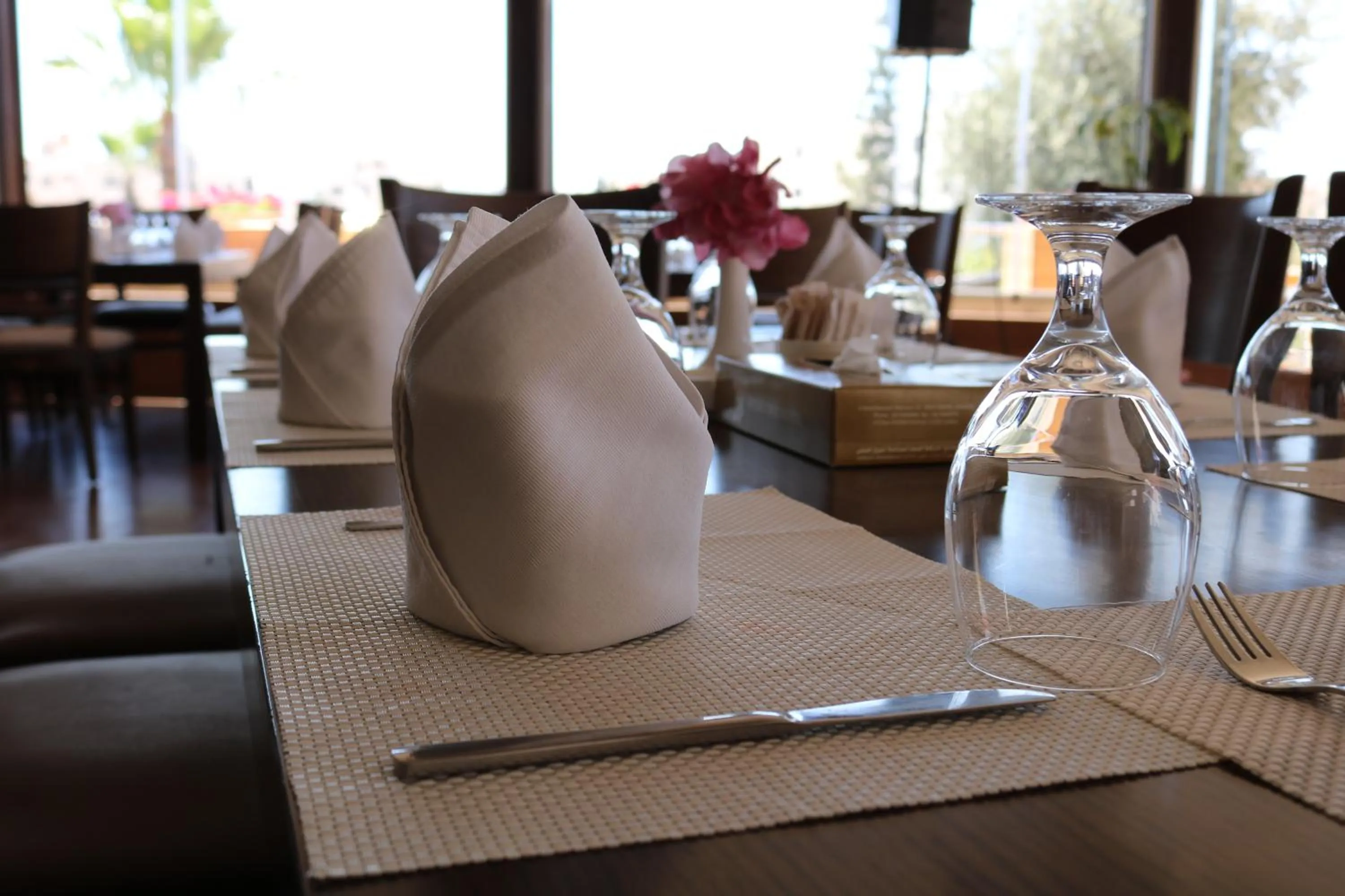 Restaurant/places to eat in Olive Tree Amman