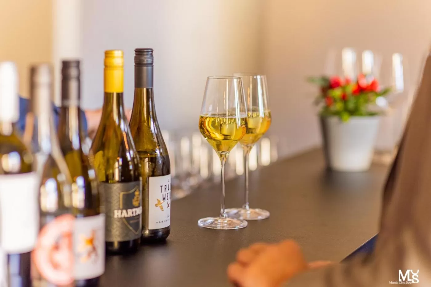 Restaurant/places to eat in Hotel Sonne