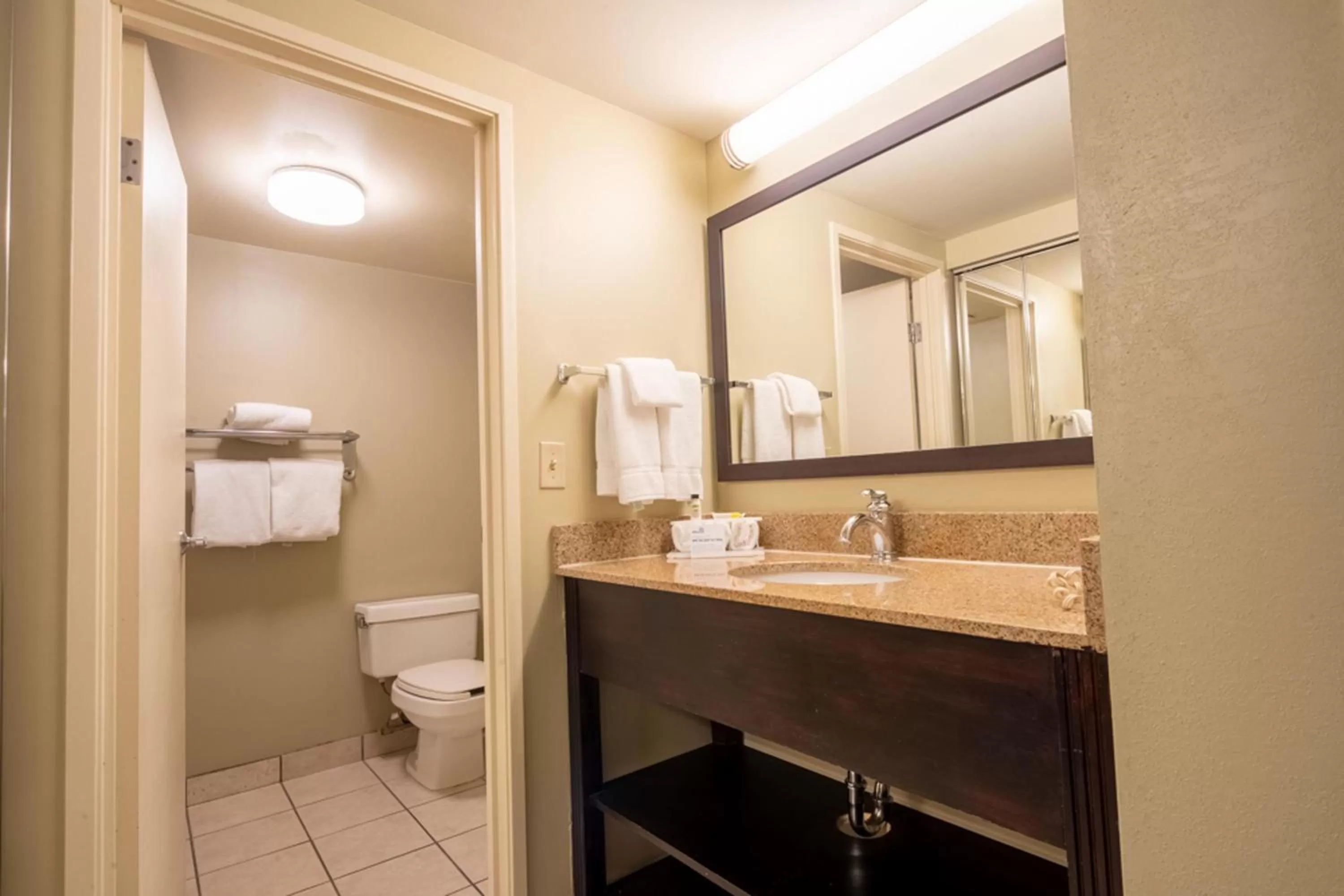 Bathroom in Holiday Inn Express Hotel & Suites Pittsburgh Airport by IHG