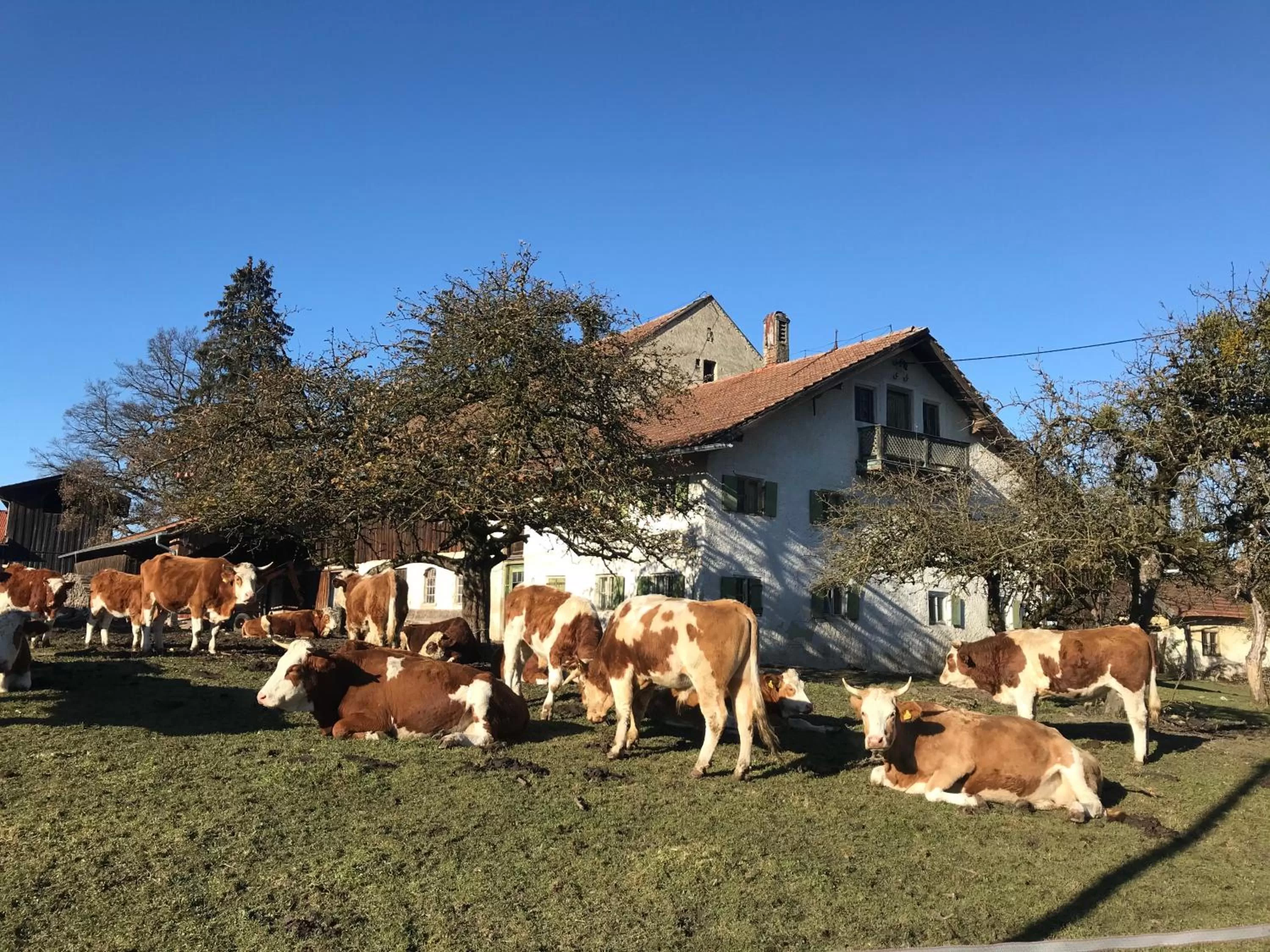 Staff in Bed and Breakfast Bavaria München
