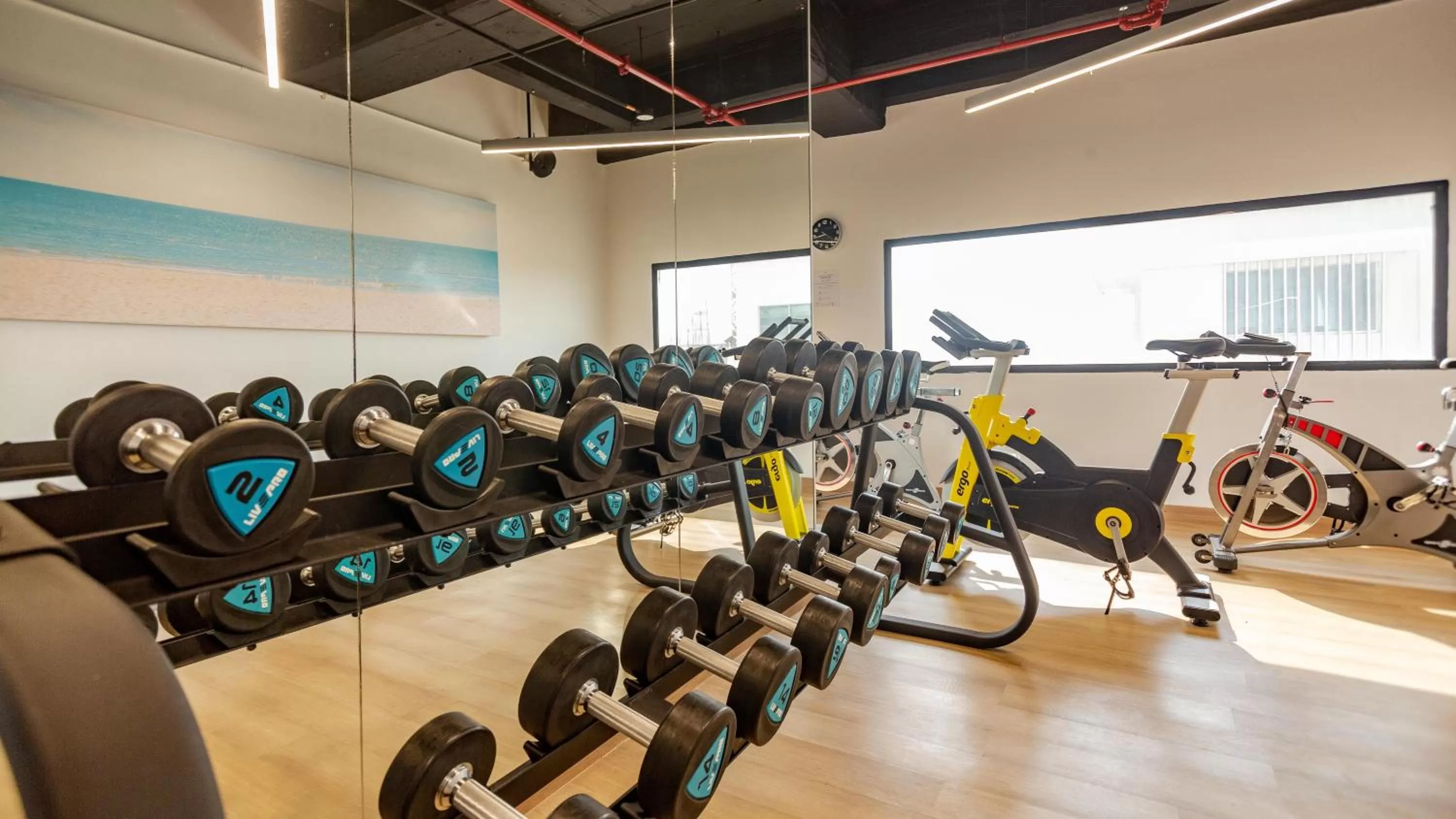 Fitness centre/facilities in Holiday Inn Express Cartagena Manga by IHG