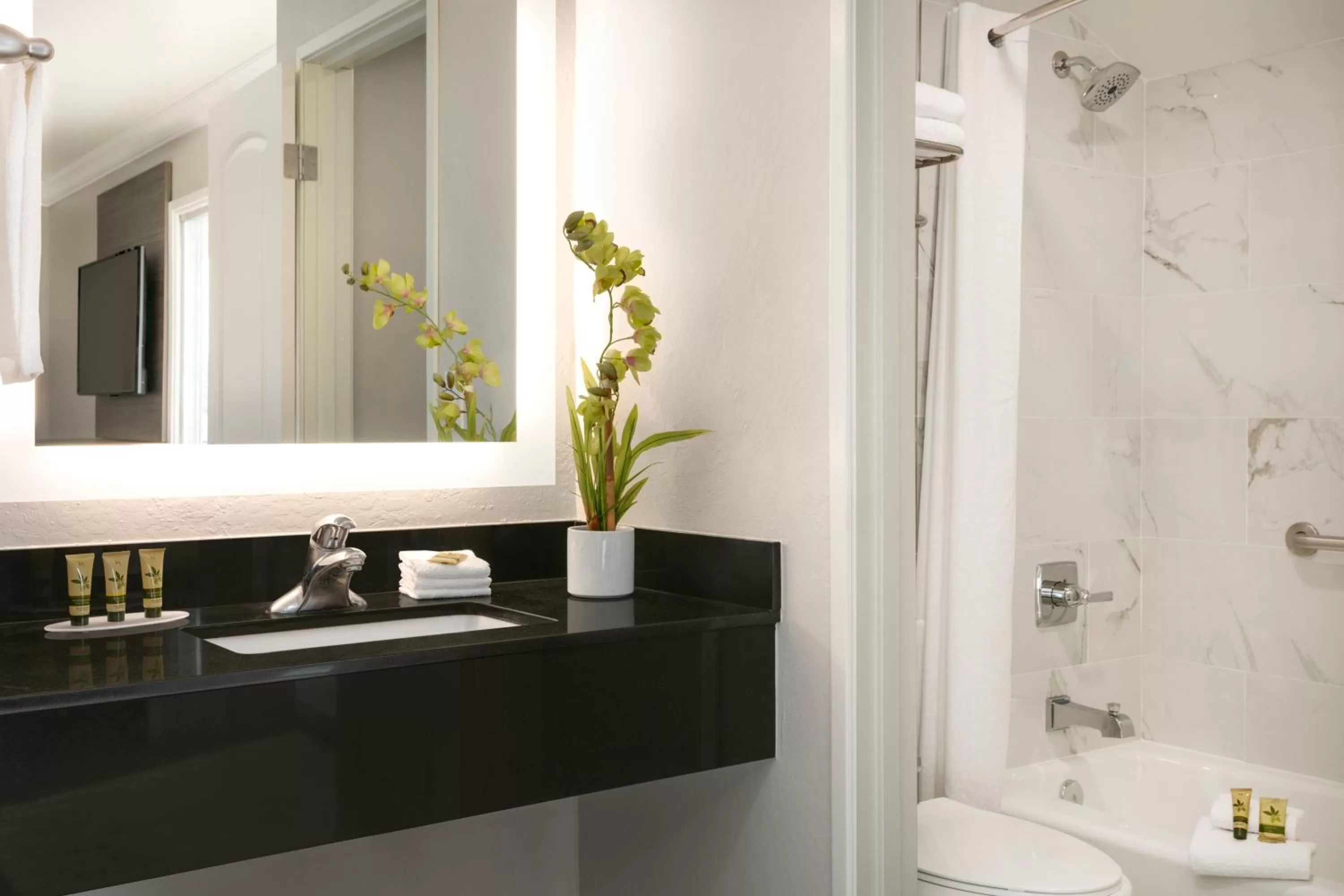 Bathroom in Torch Lite Inn at the Beach Boardwalk