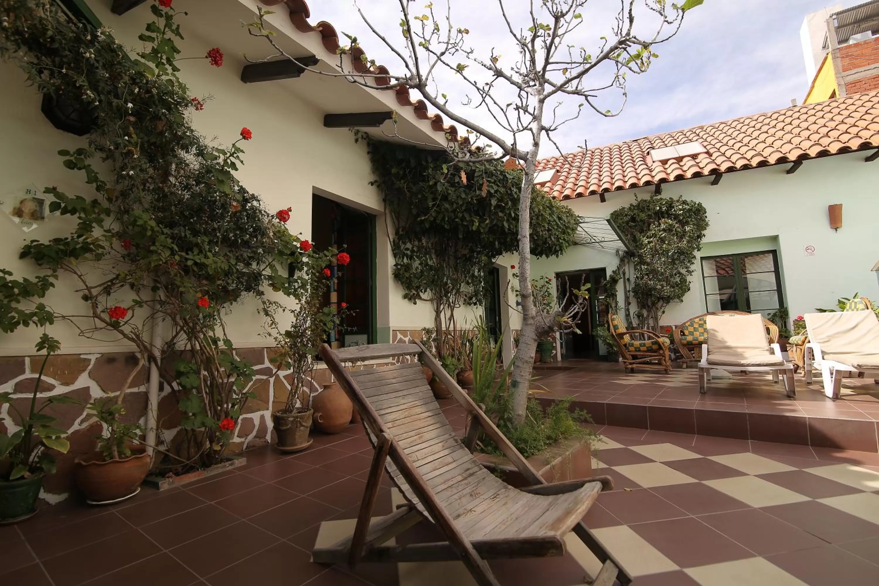 Garden in Casa Verde Hostal