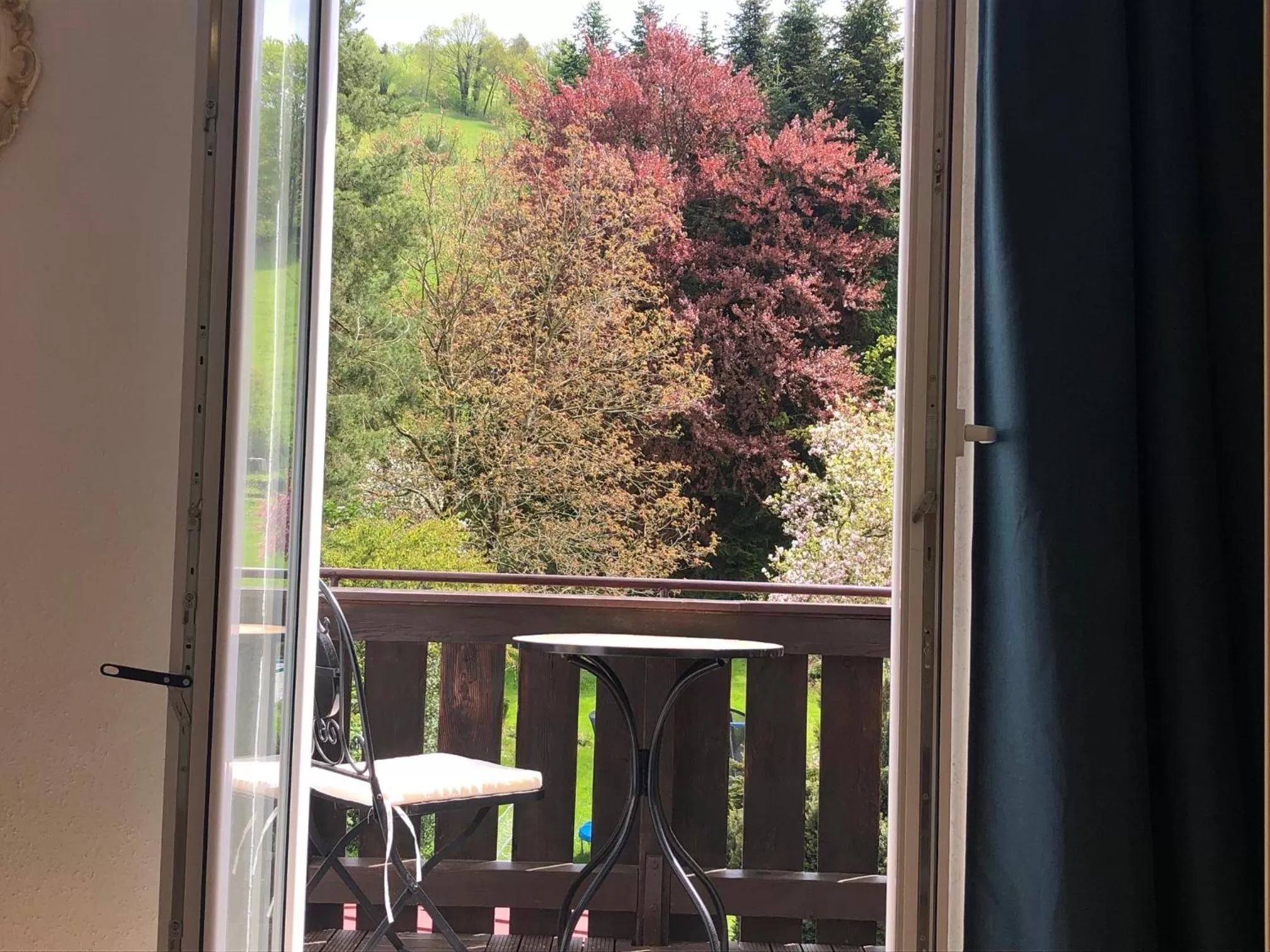 Pension und Ferienwohnung Frech