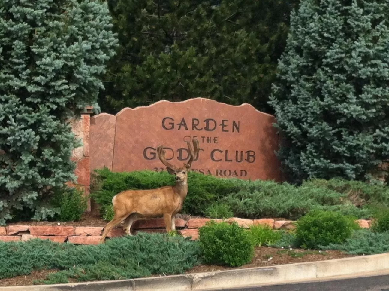 Logo/Certificate/Sign in Garden of the Gods Resort & Club