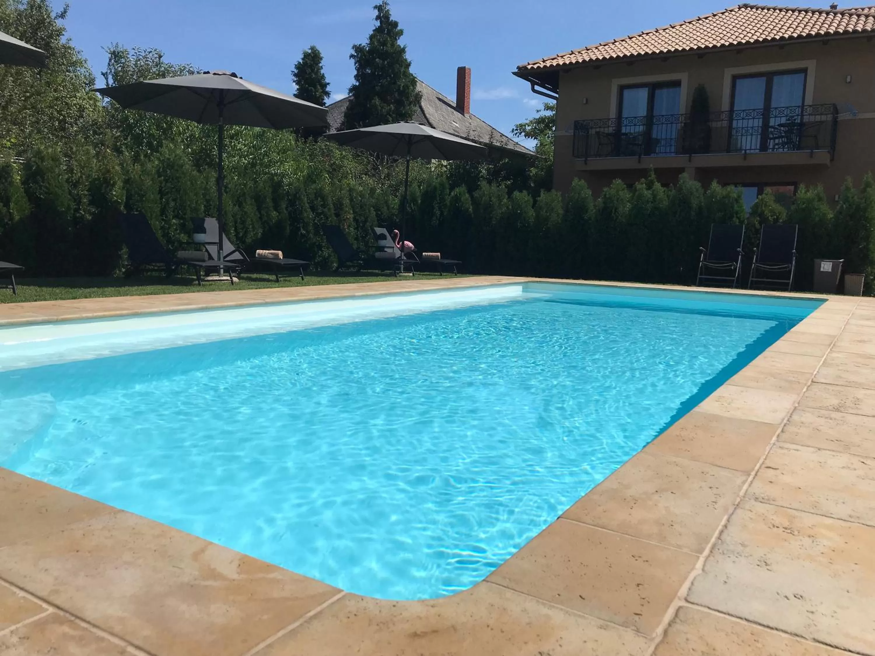 Swimming Pool in Villa Aruba & Private SPA Suites