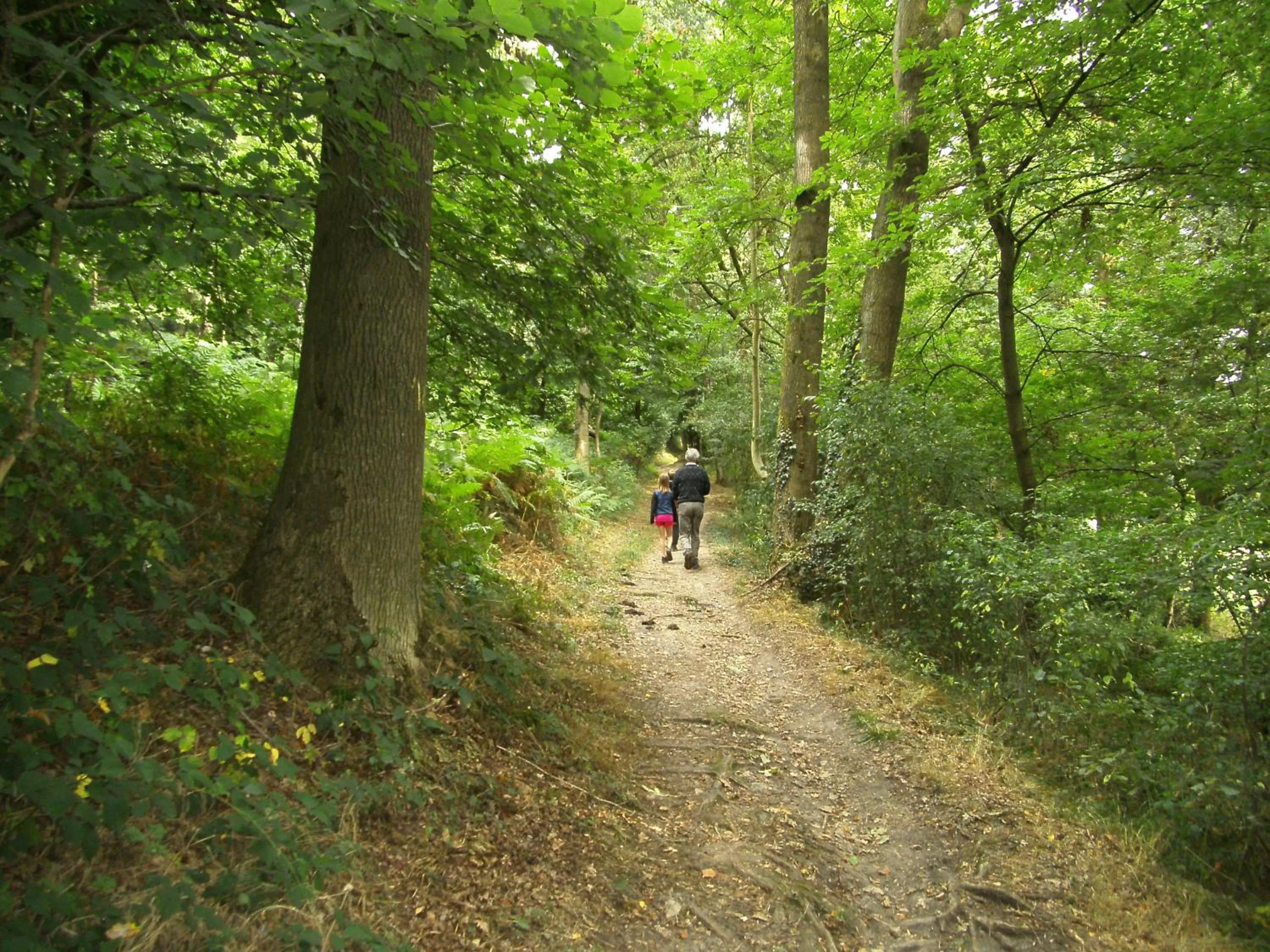 Activities, Biking in 't Gulpdal Hotel Voeren-Teuven
