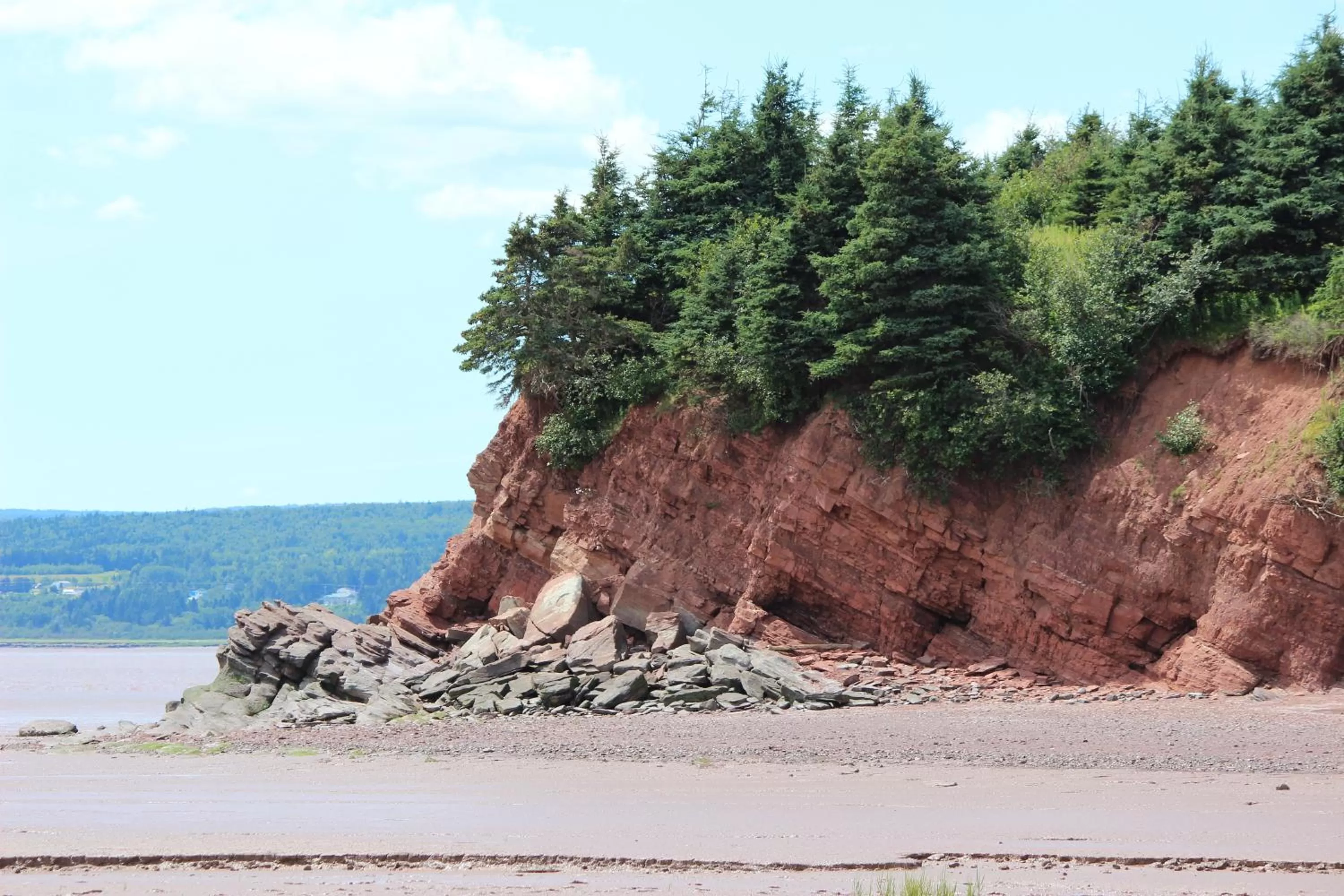 View (from property/room) in Maplehurst Manor Bed and Breakfast