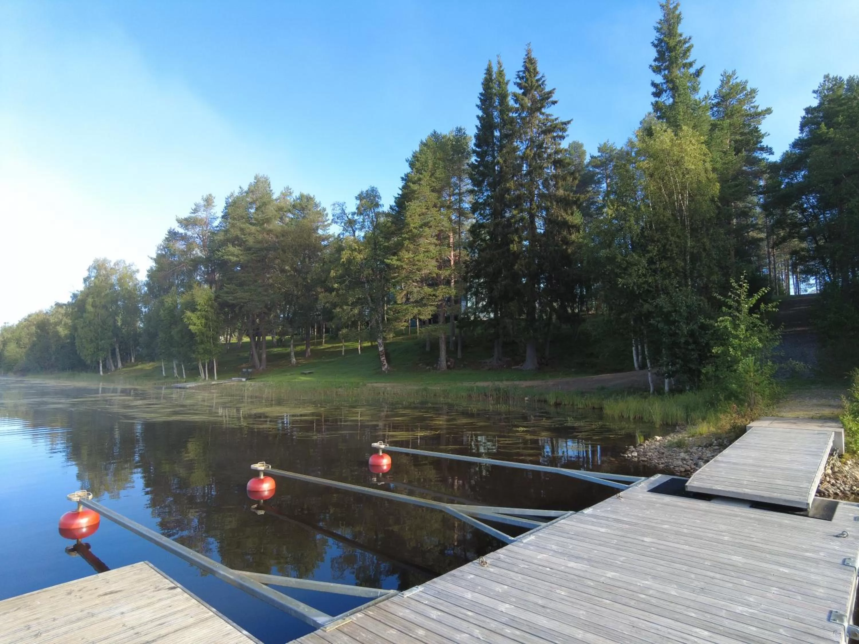 Garden in Lapin Satu