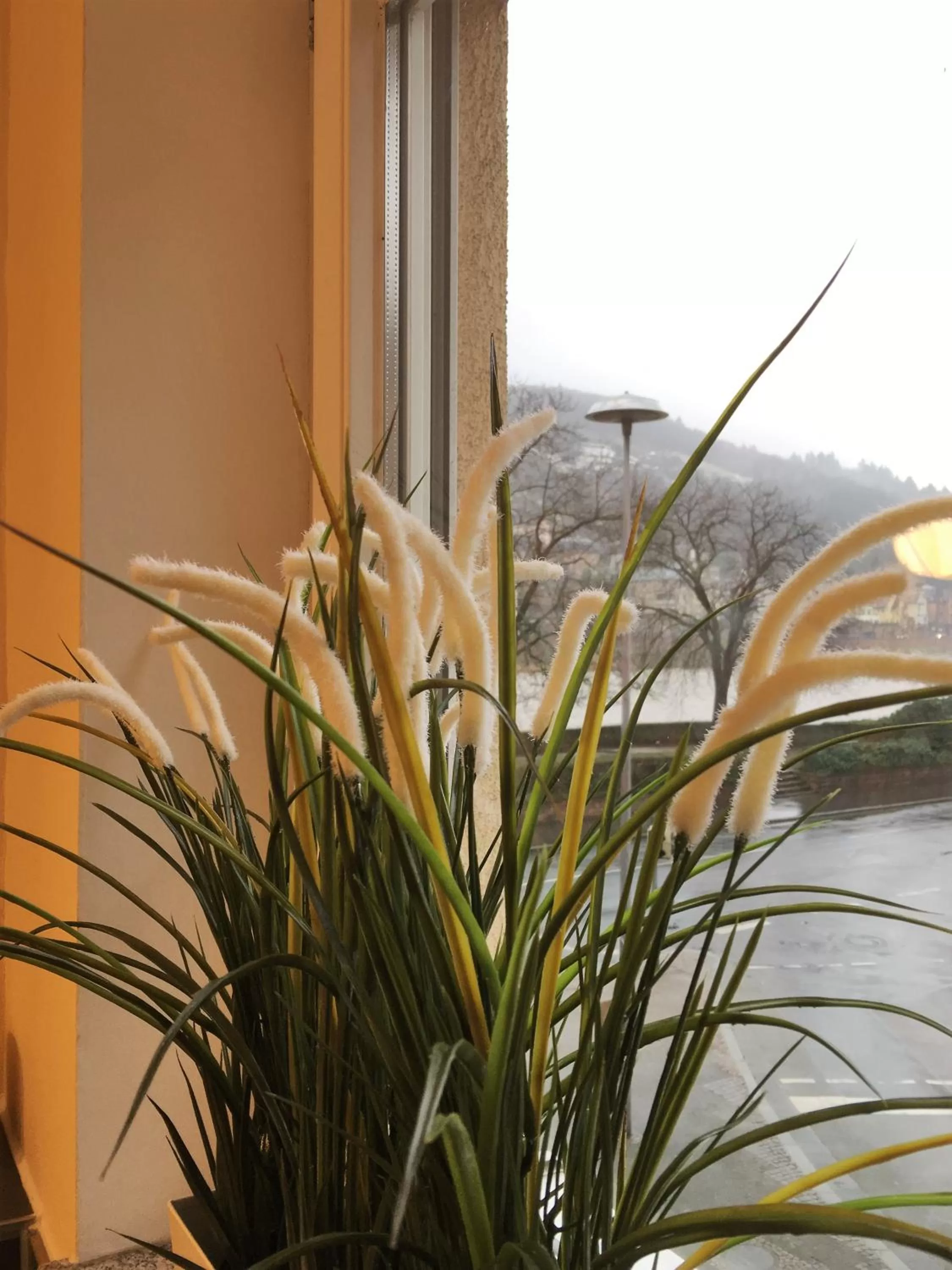 Decorative detail in Hotel Zur Alten Brücke