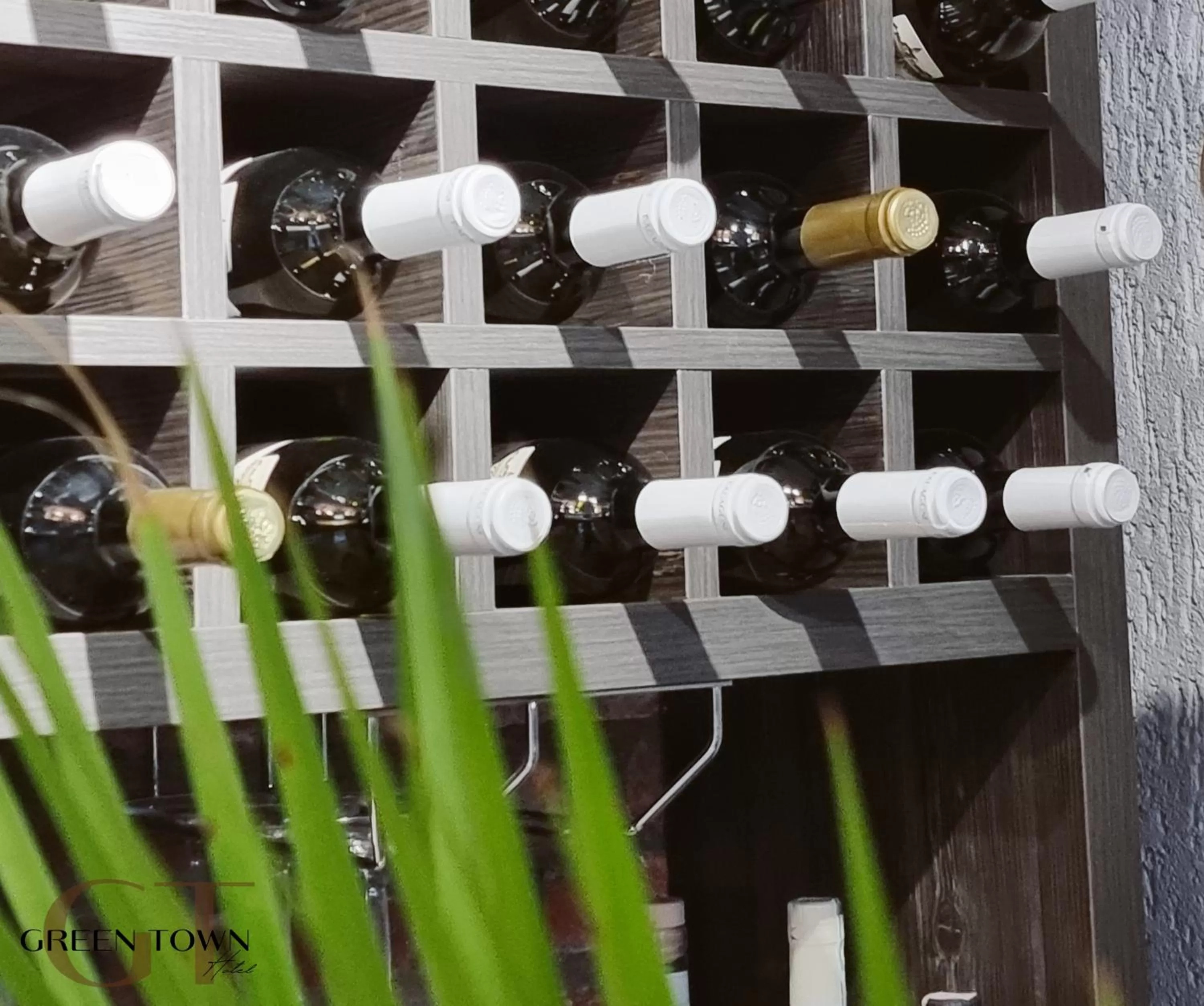 Alcoholic drinks in Hotel Green Town