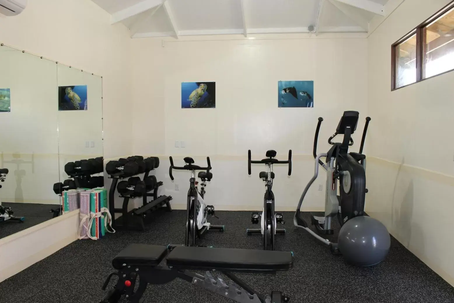 Cove Resort Palau Cove Resort Palau