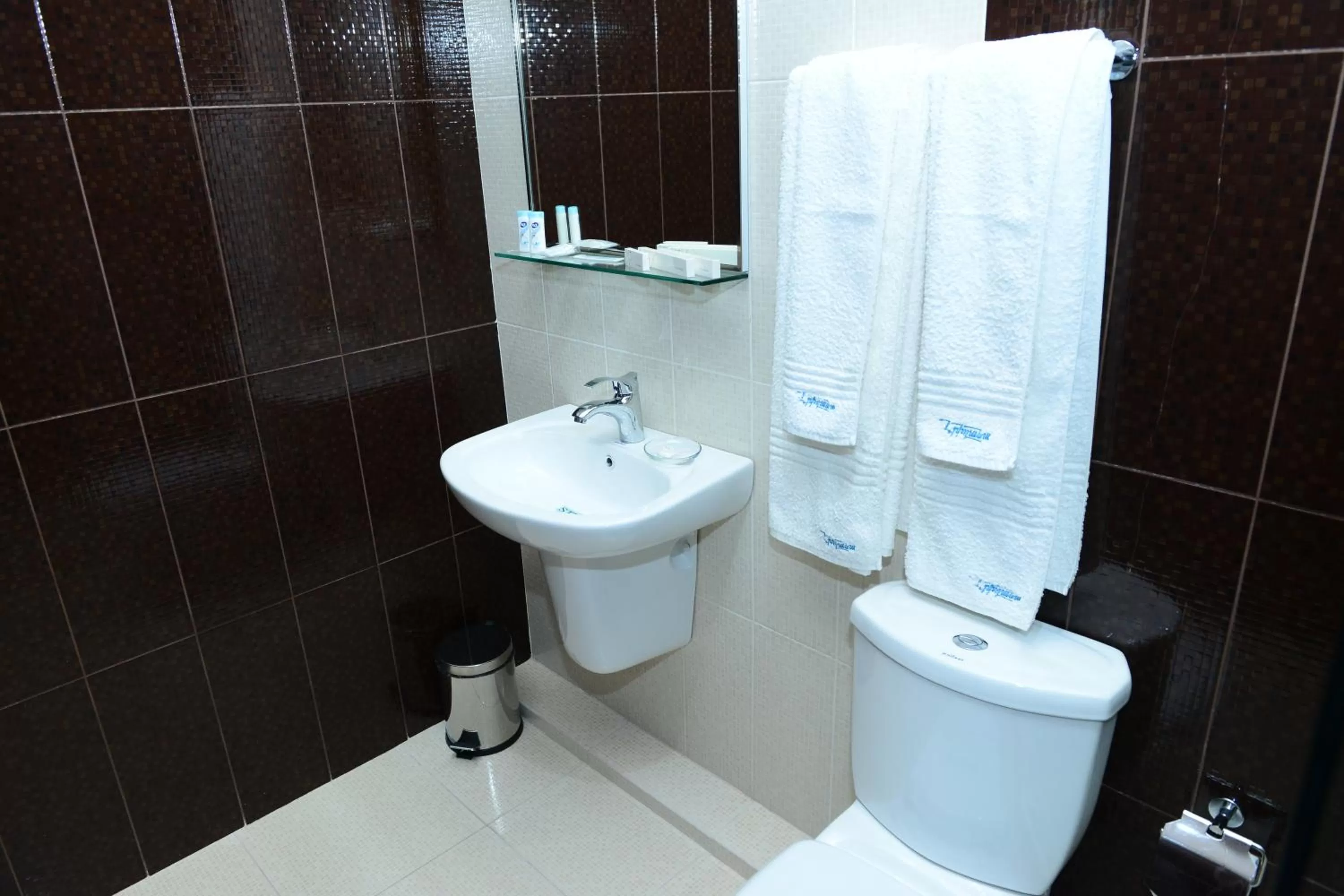 Bathroom in Eridana Hotel