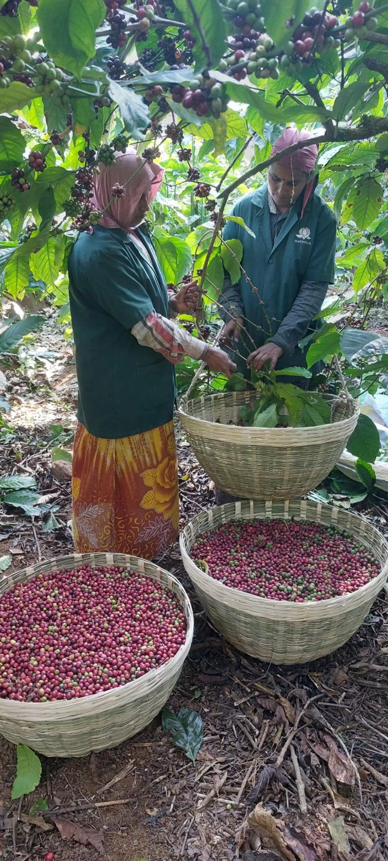 Staff in Magnolia Estates & Resorts