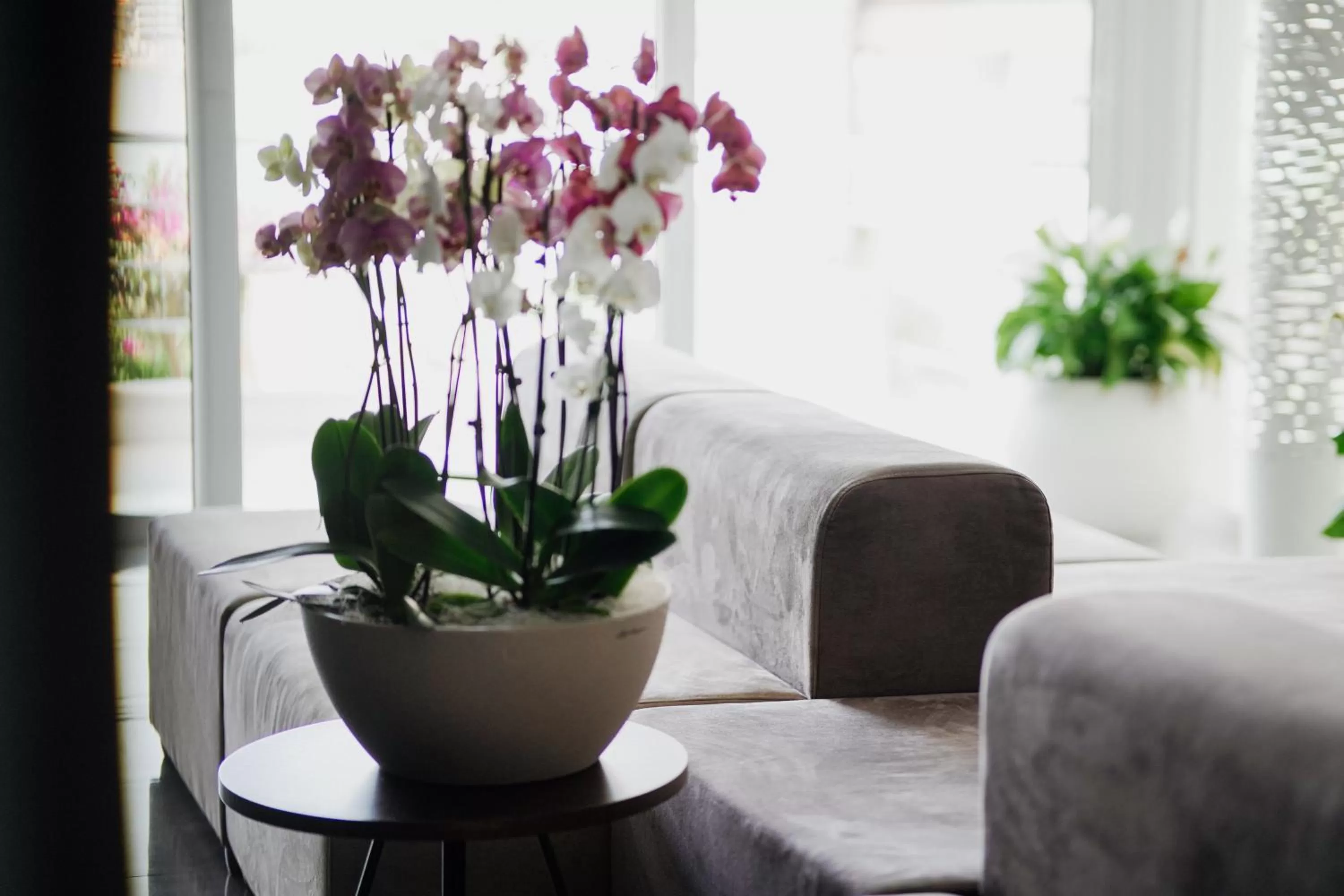 Lobby or reception in Hotel Agimi