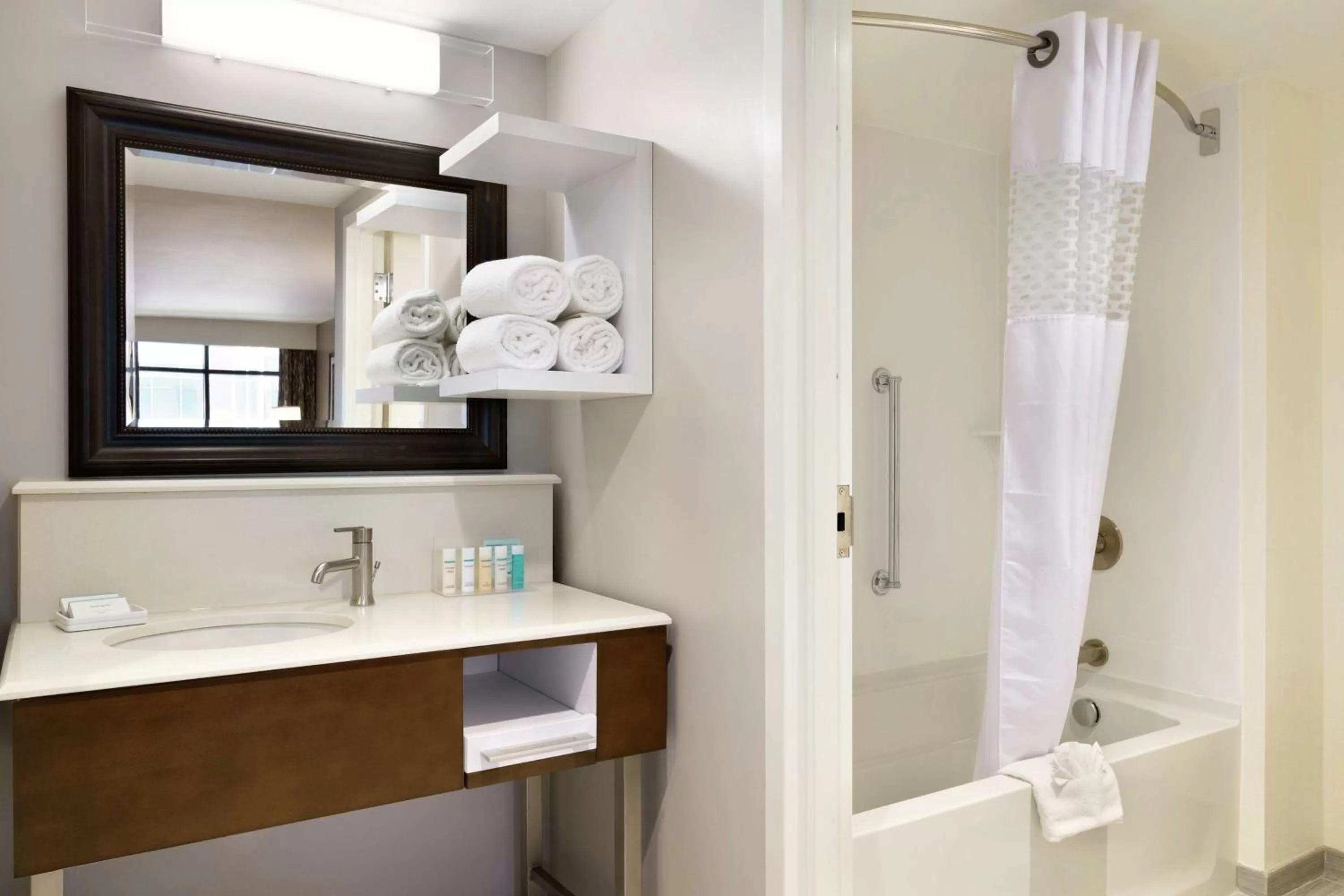 Bathroom in Hampton Inn & Suites Nashville-Downtown