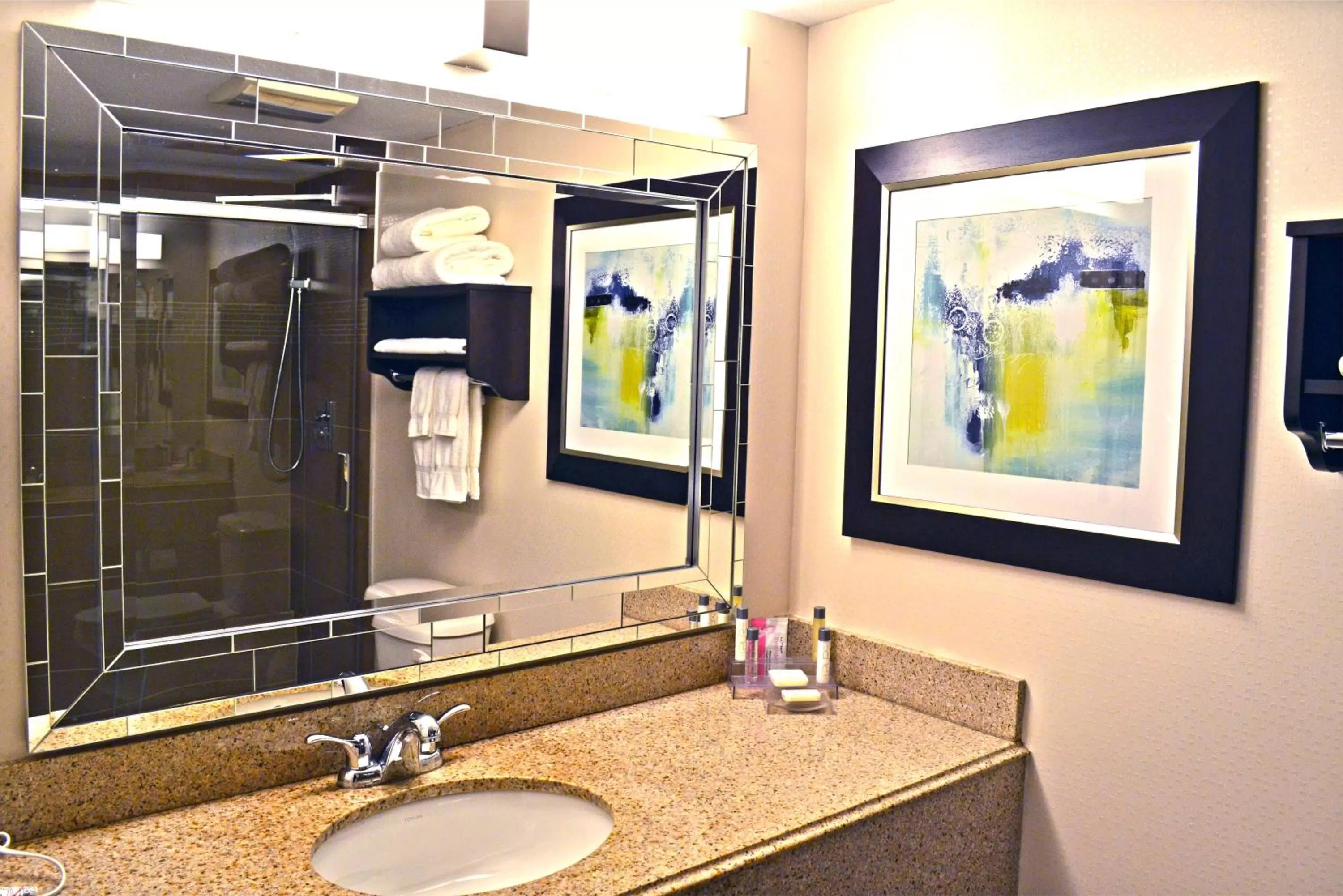 Bathroom in Holiday Inn & Suites Syracuse Airport - Liverpool by IHG