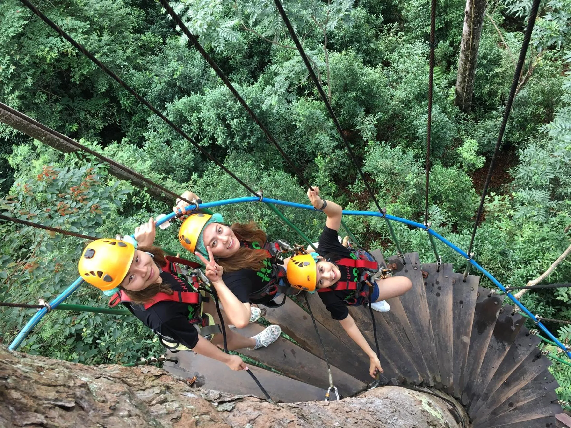 Activities in Daizy House