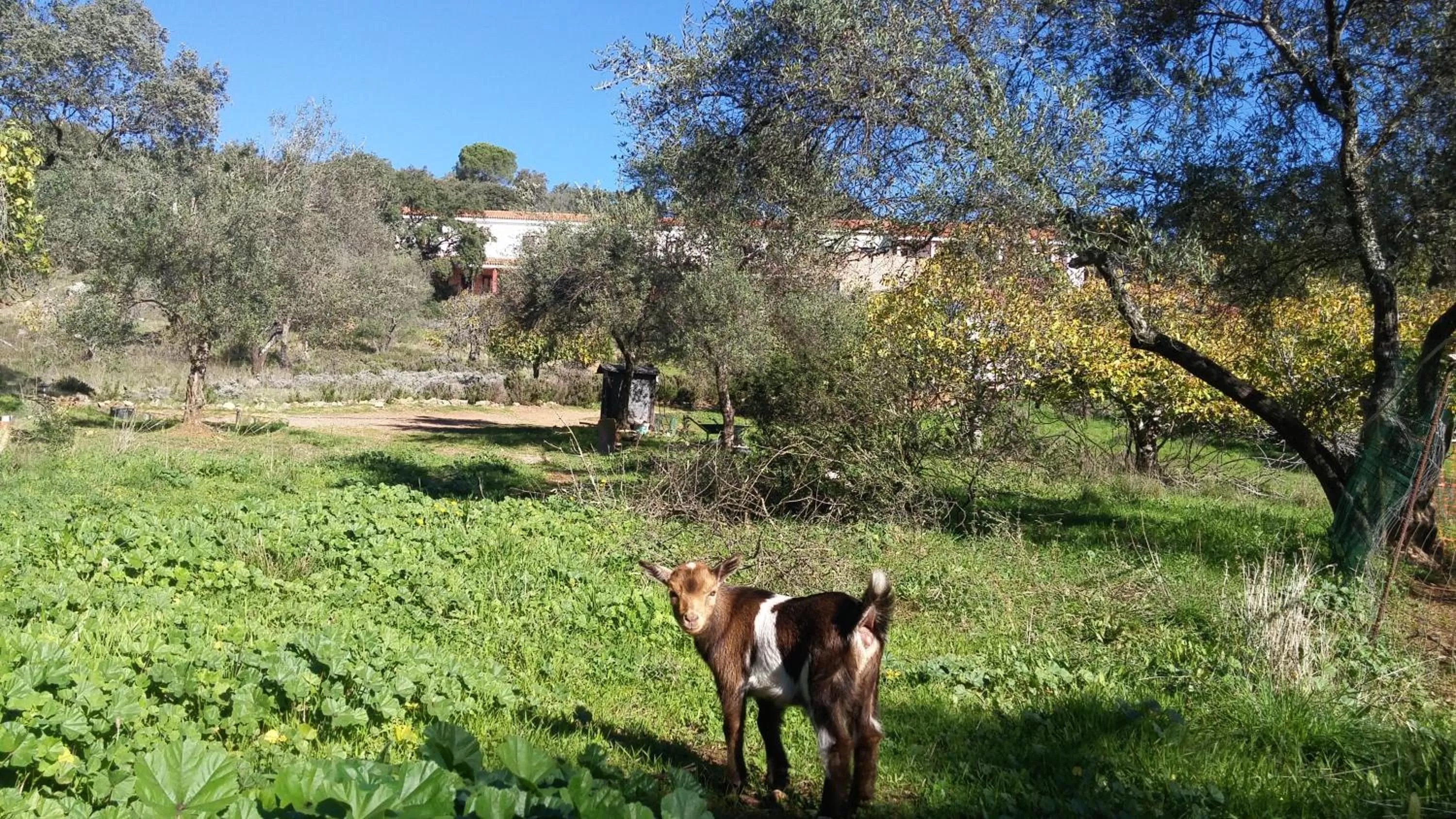 Off site in Hotel La Era de Aracena - Adults Only