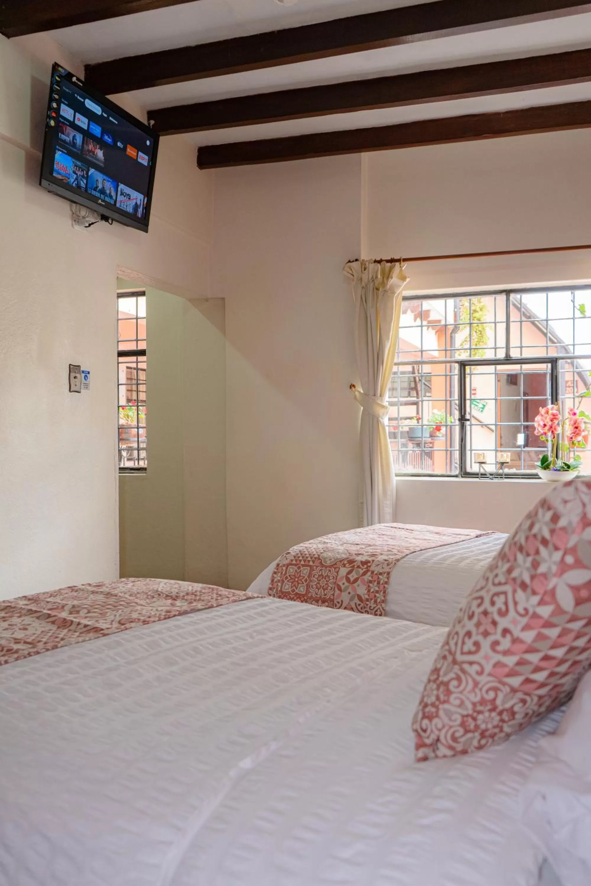 Bed in Rincón Familiar Hostel Boutique