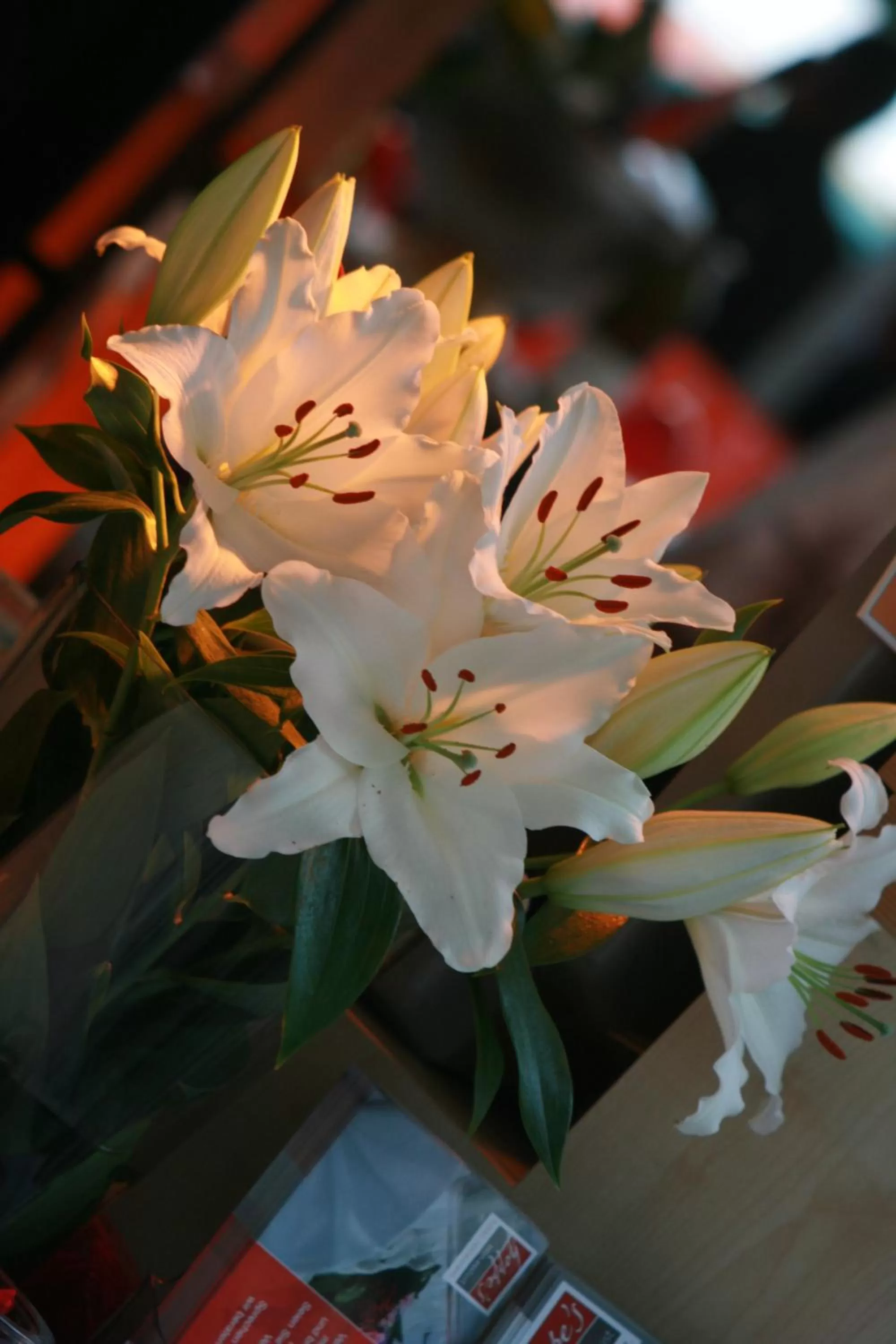 Other in Hotel Hoppe