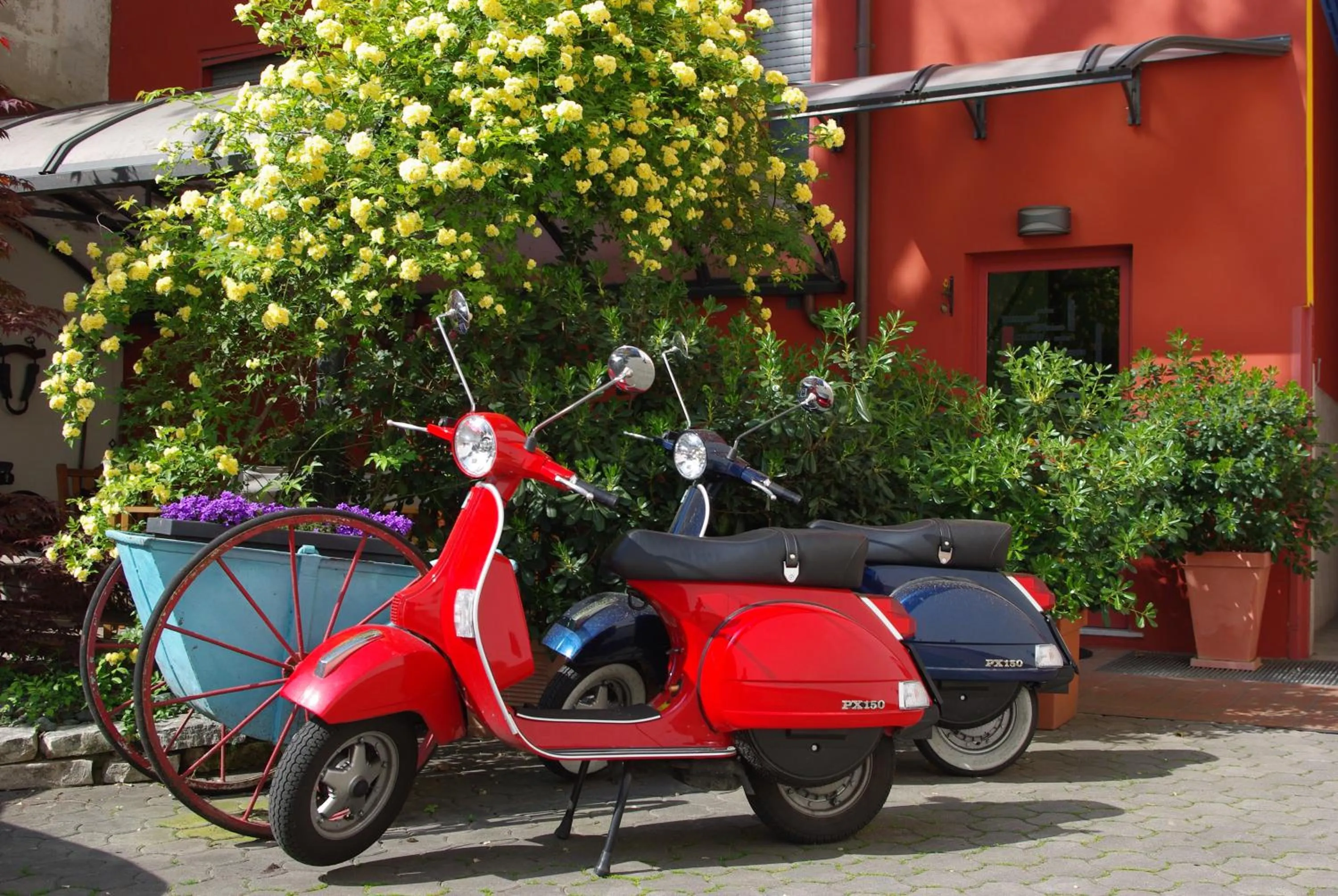 Day in Il Girasole High Quality Inn