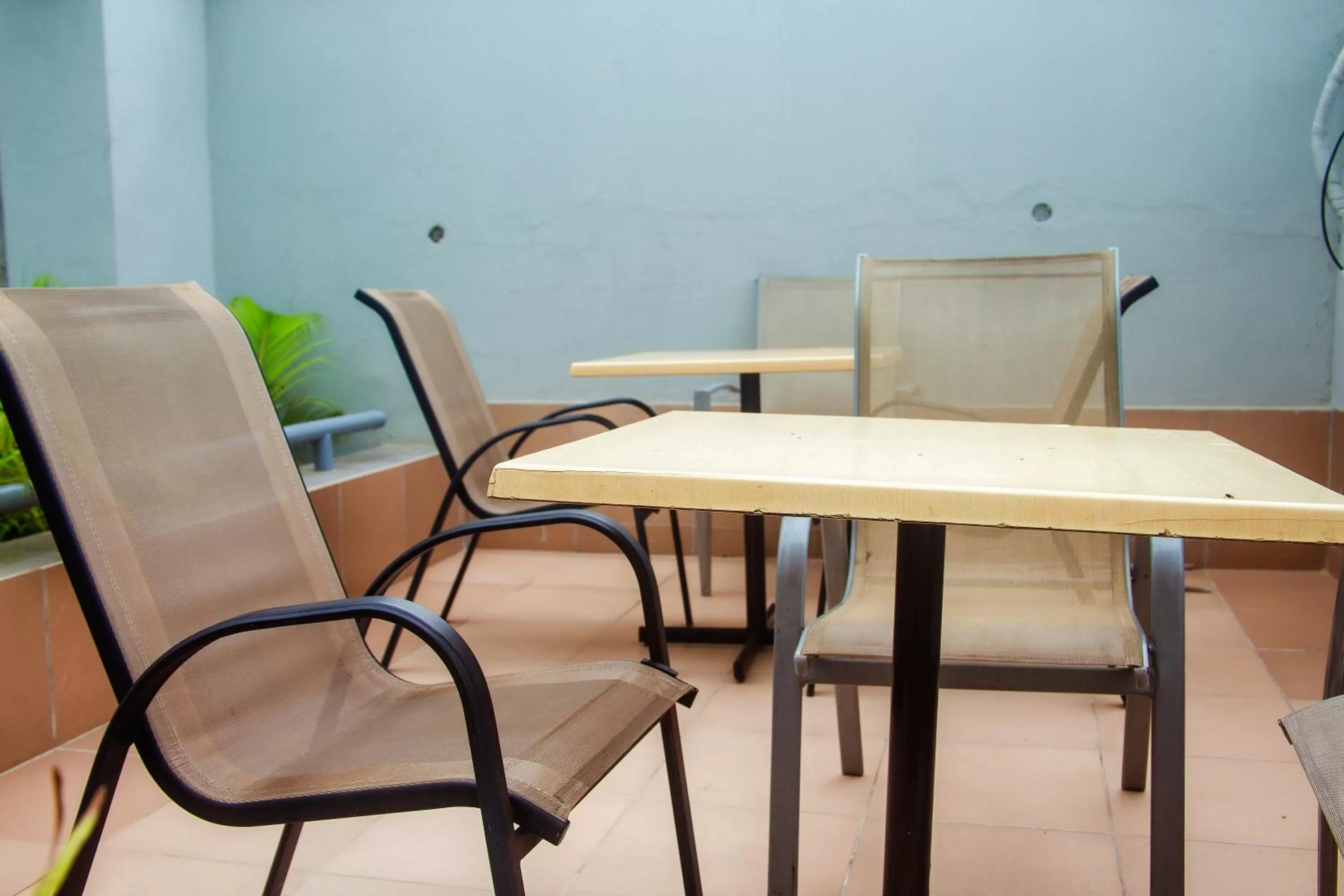 Lounge or bar in Hotel Capitol